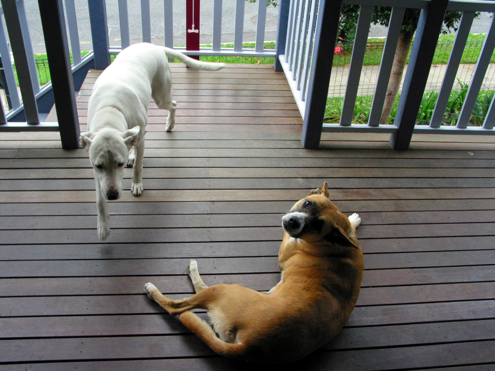 Meischa and Kia on the veranda