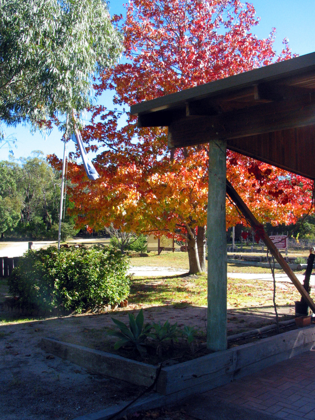 Autumn colors at Happy Valley, where we stayed between gigs