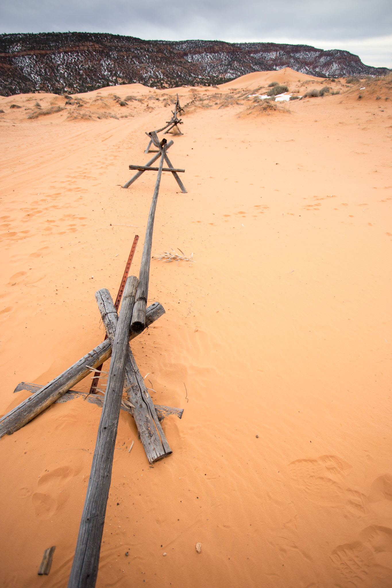 Coral Pink Sand Dunes State Park