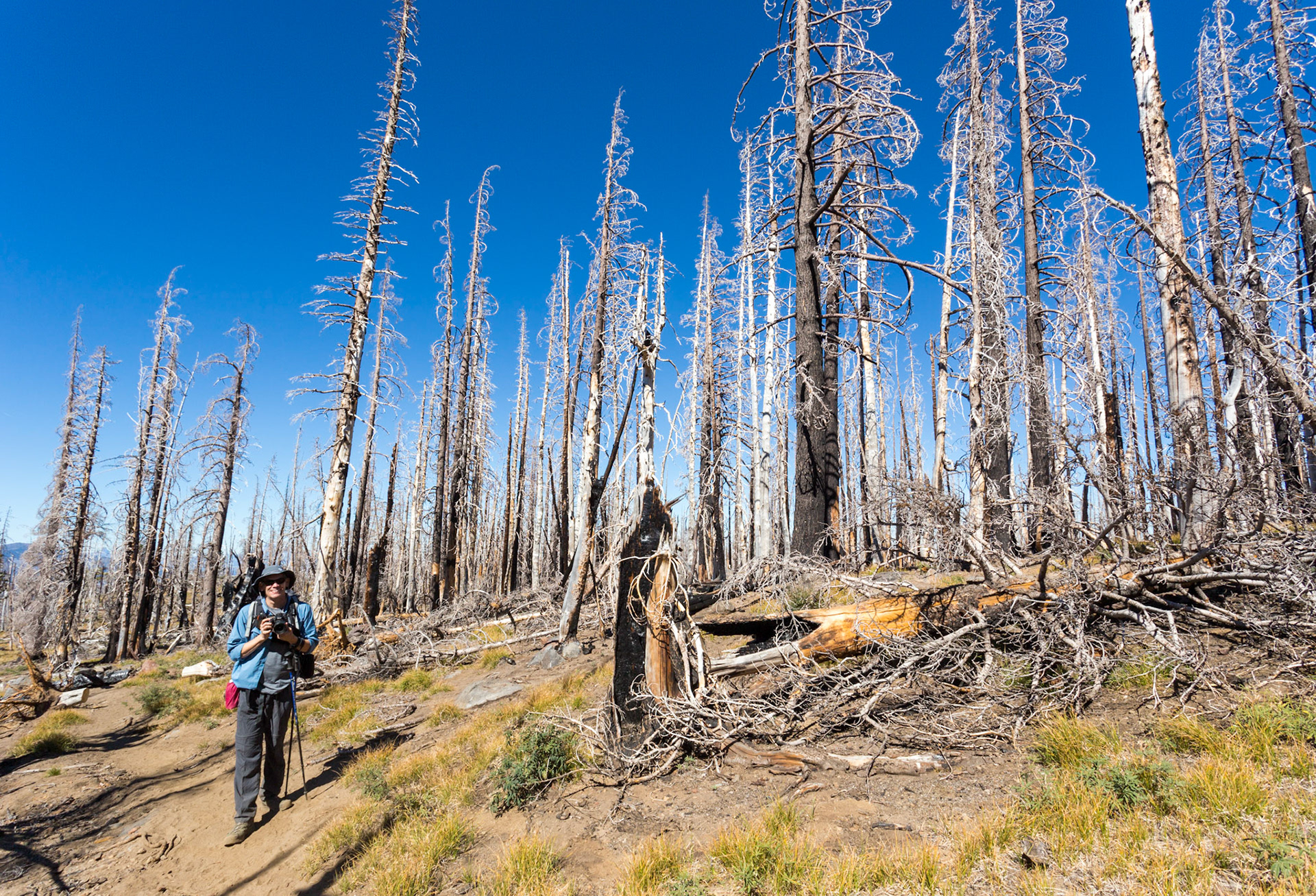 Broken Top Loop Trail
