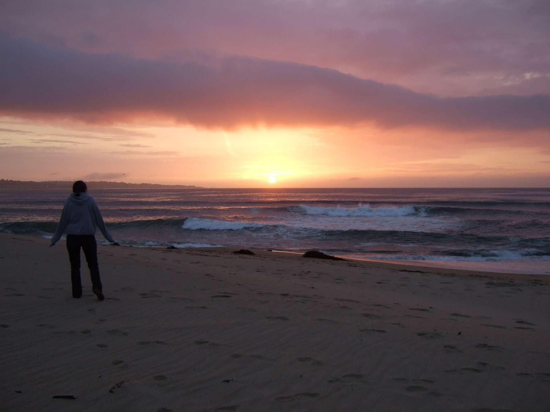 We arrived in Monterey just in time to see the sunset, right next to the local sewage plant
