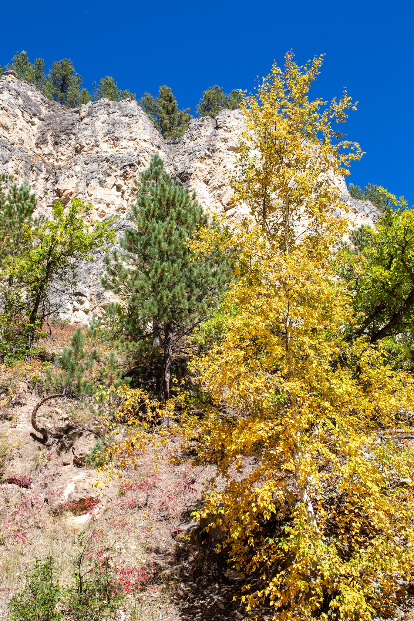 Hiking somewhere along Spearfish Canyon