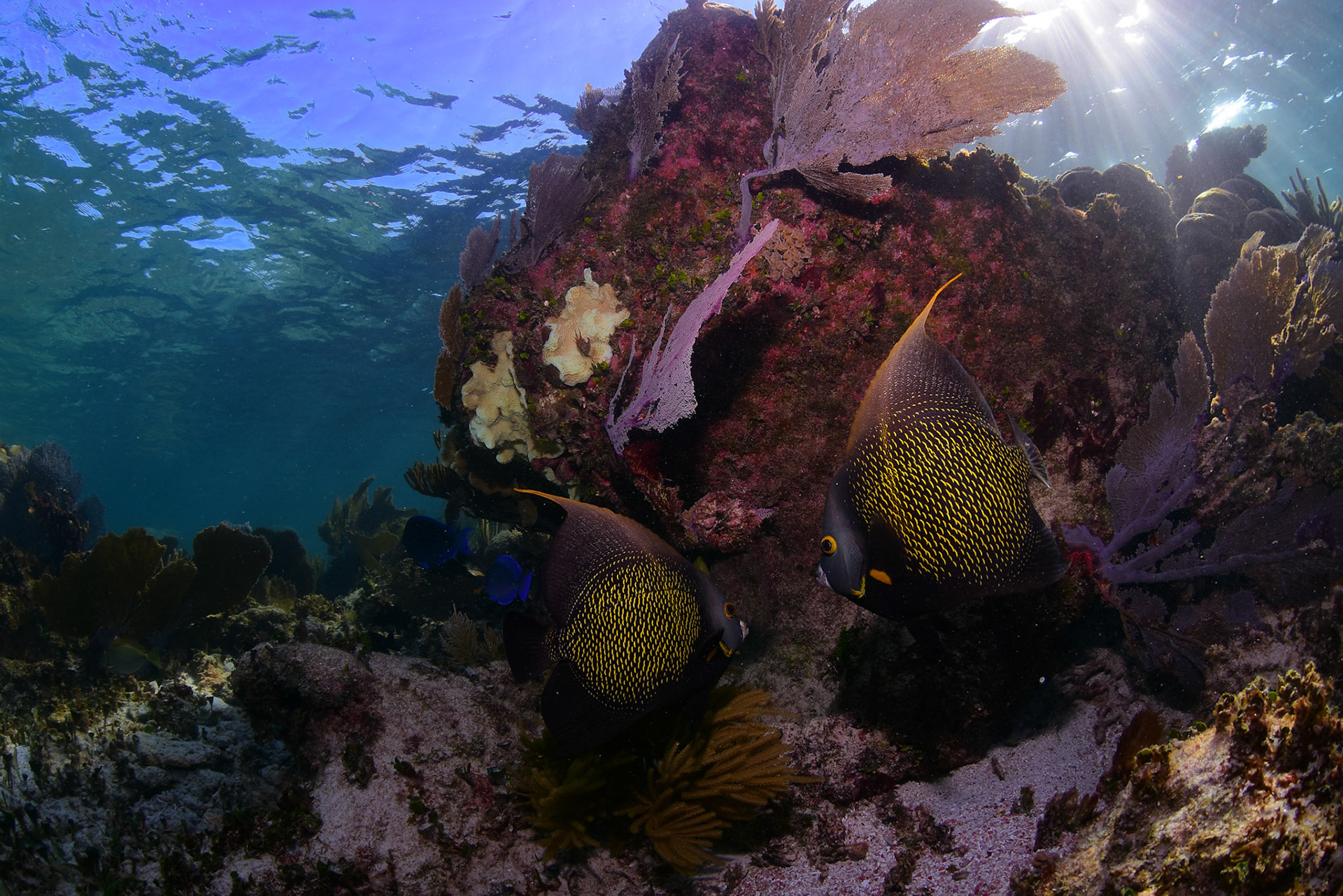 (Photo taken by Alltournative photographer)