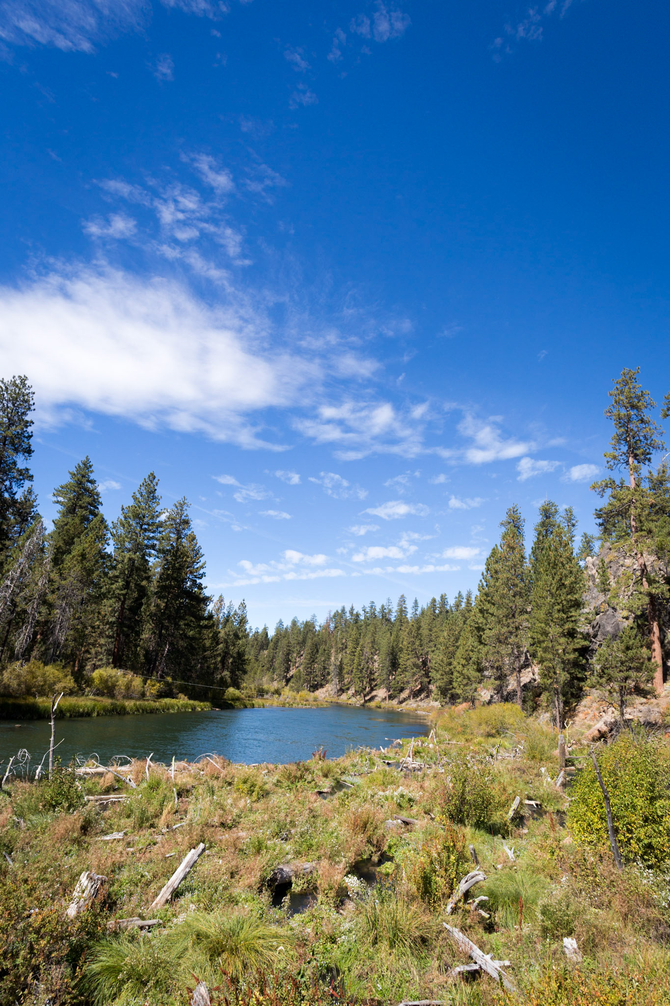 Benham Falls, Sunriver, OR