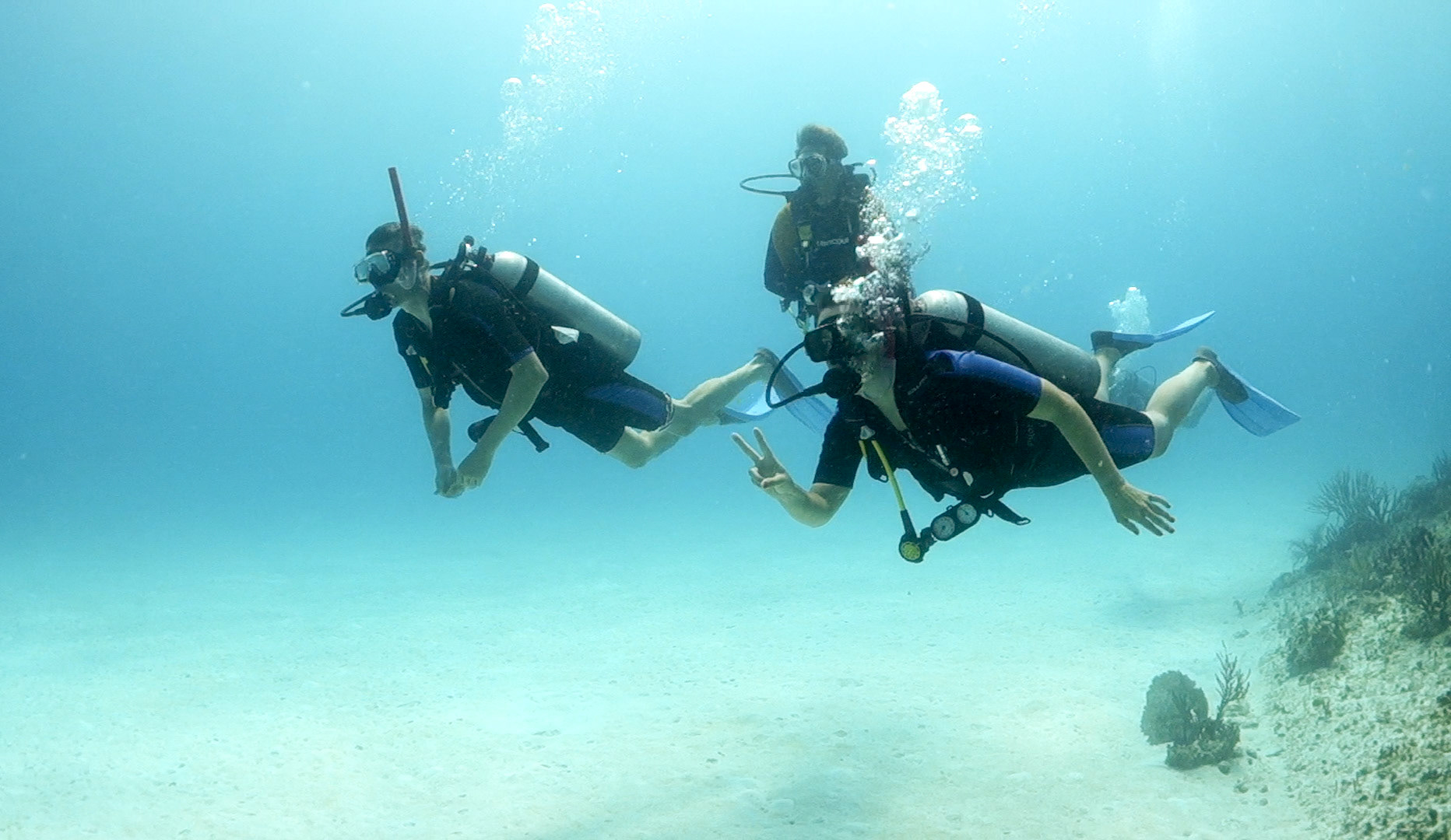 (Photo taken by SCUBA photographer)