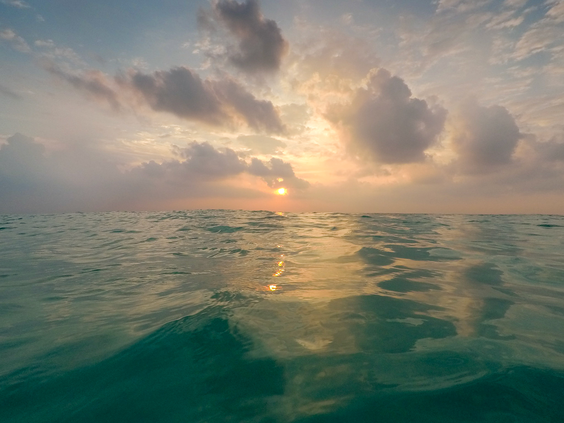 Sunrise swim on our last morning