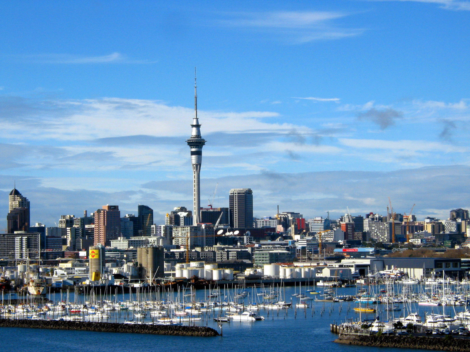 View of Auckland and its famous skytower