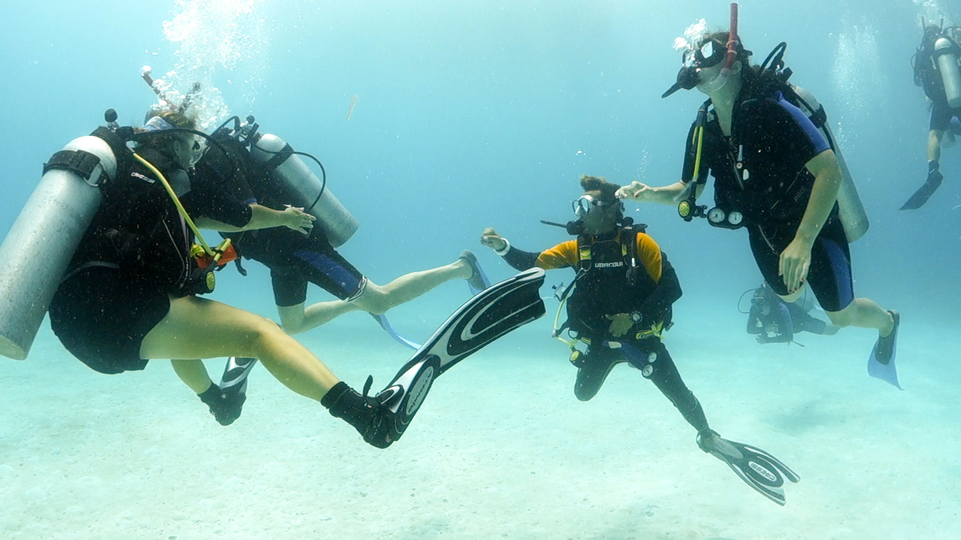 (Photo taken by SCUBA photographer)