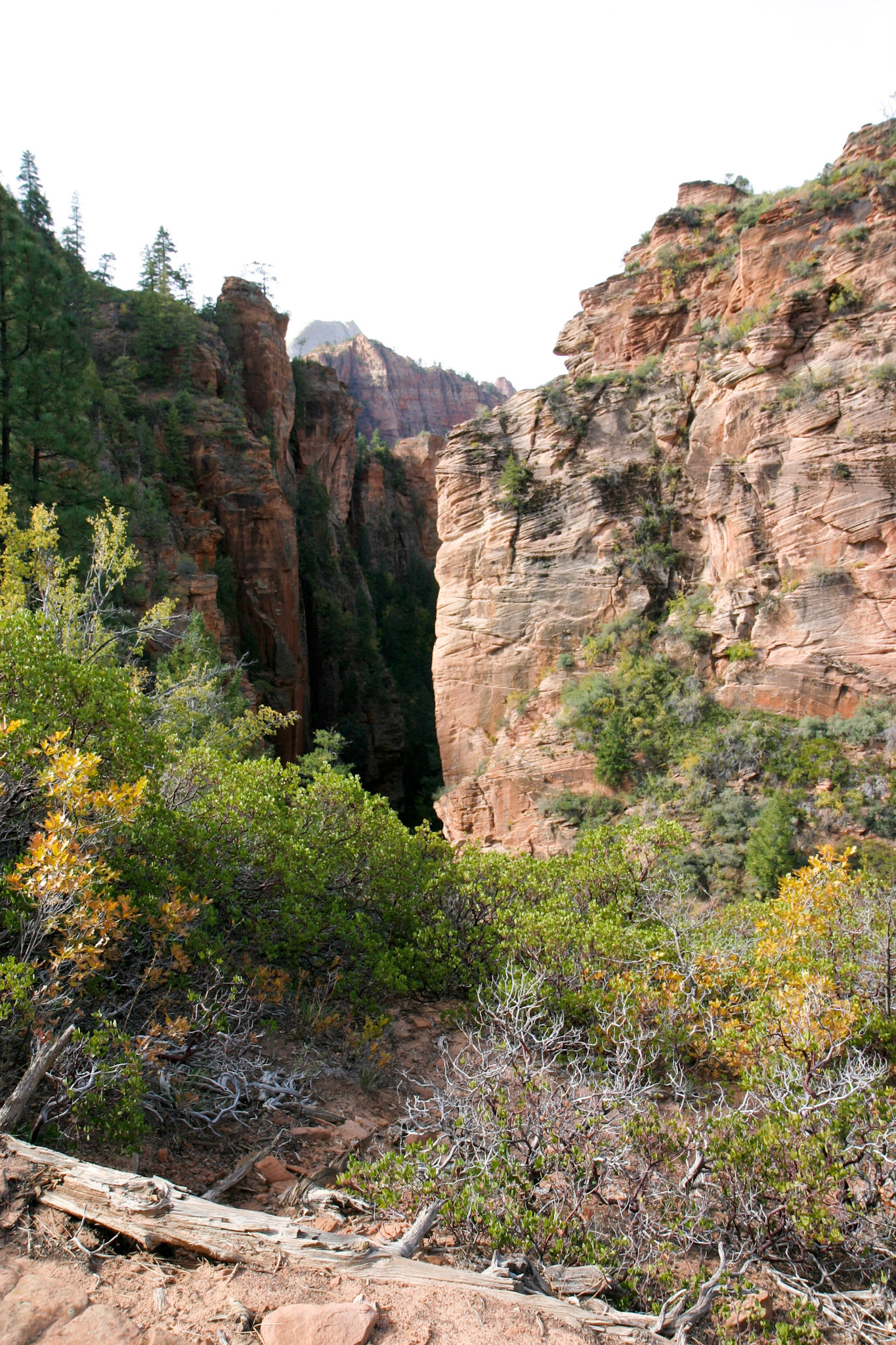 The beginning of the Subway slot canyon