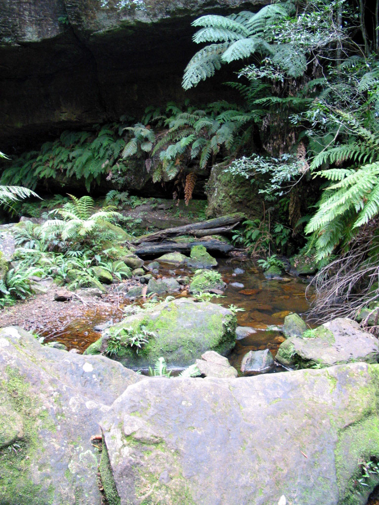 The stream running through the mountains