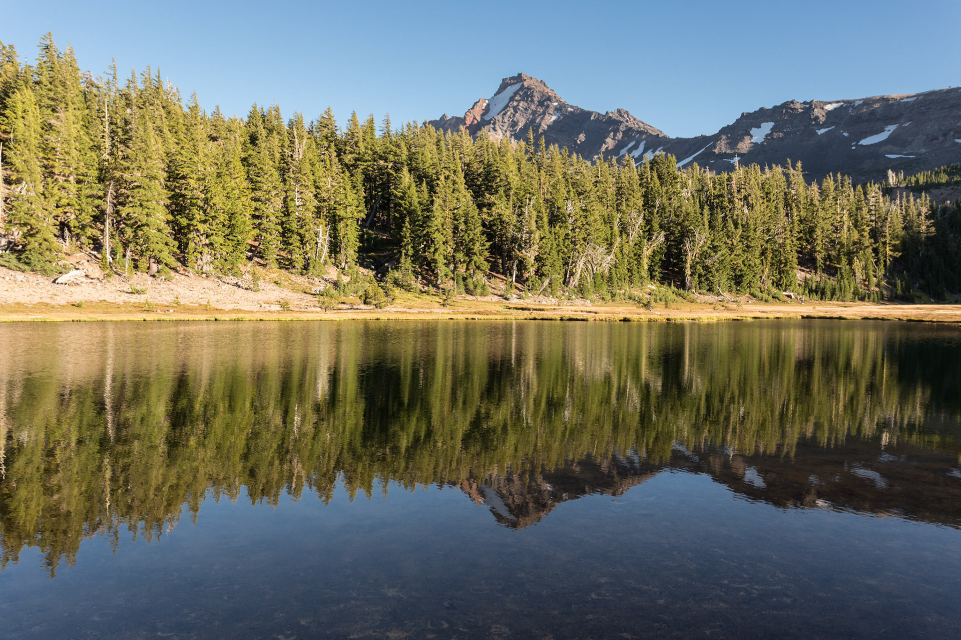 Broken Top reflected in Golden Lake