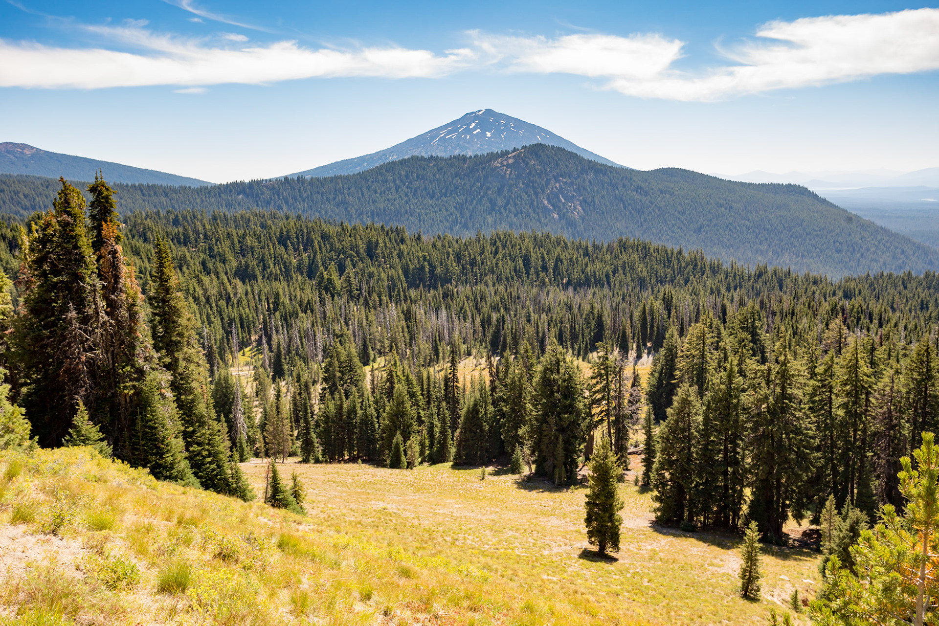 View of Mt. Bachelor