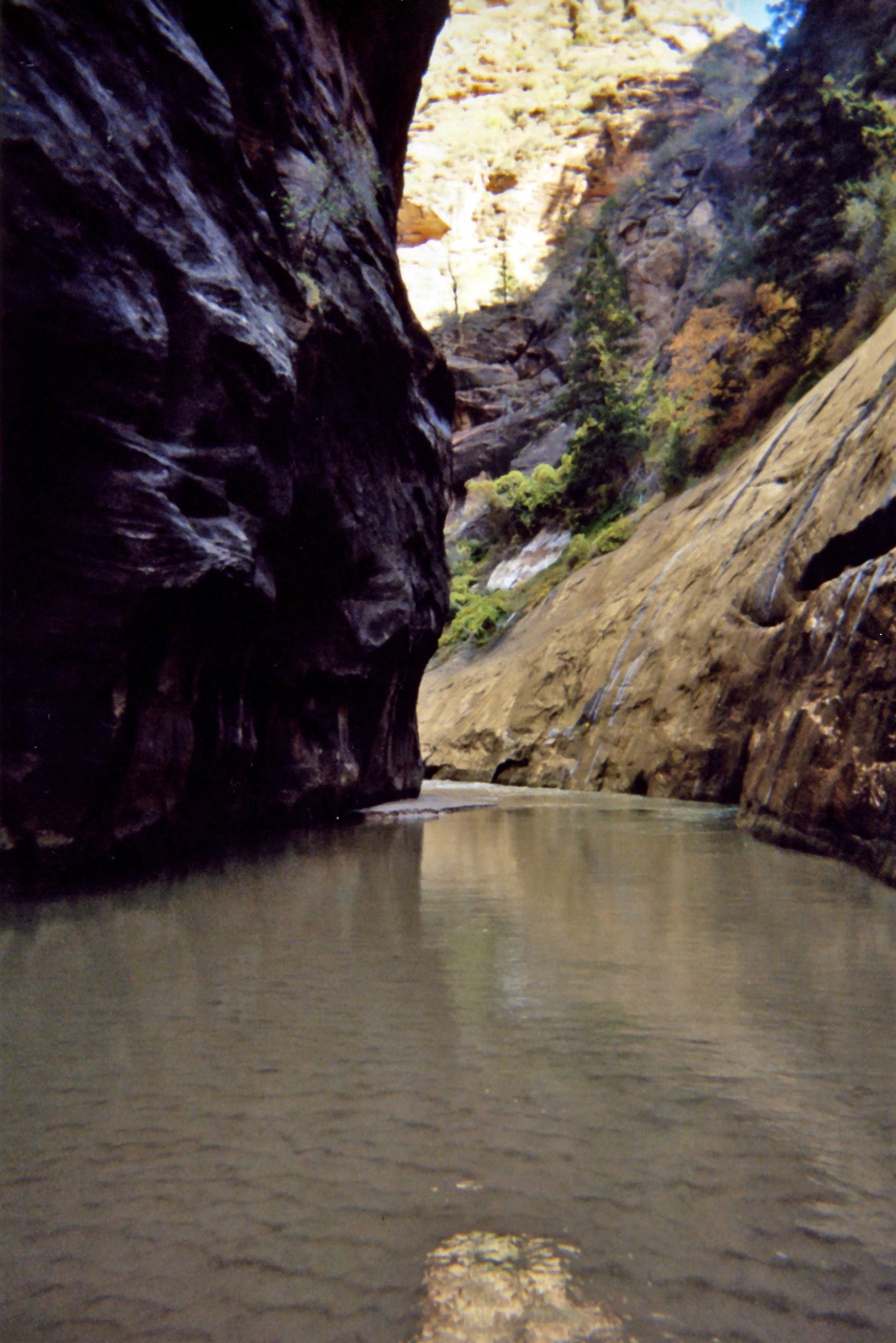 Beginning our hike through The Narrows, which is still one of our favorite hikes of all time