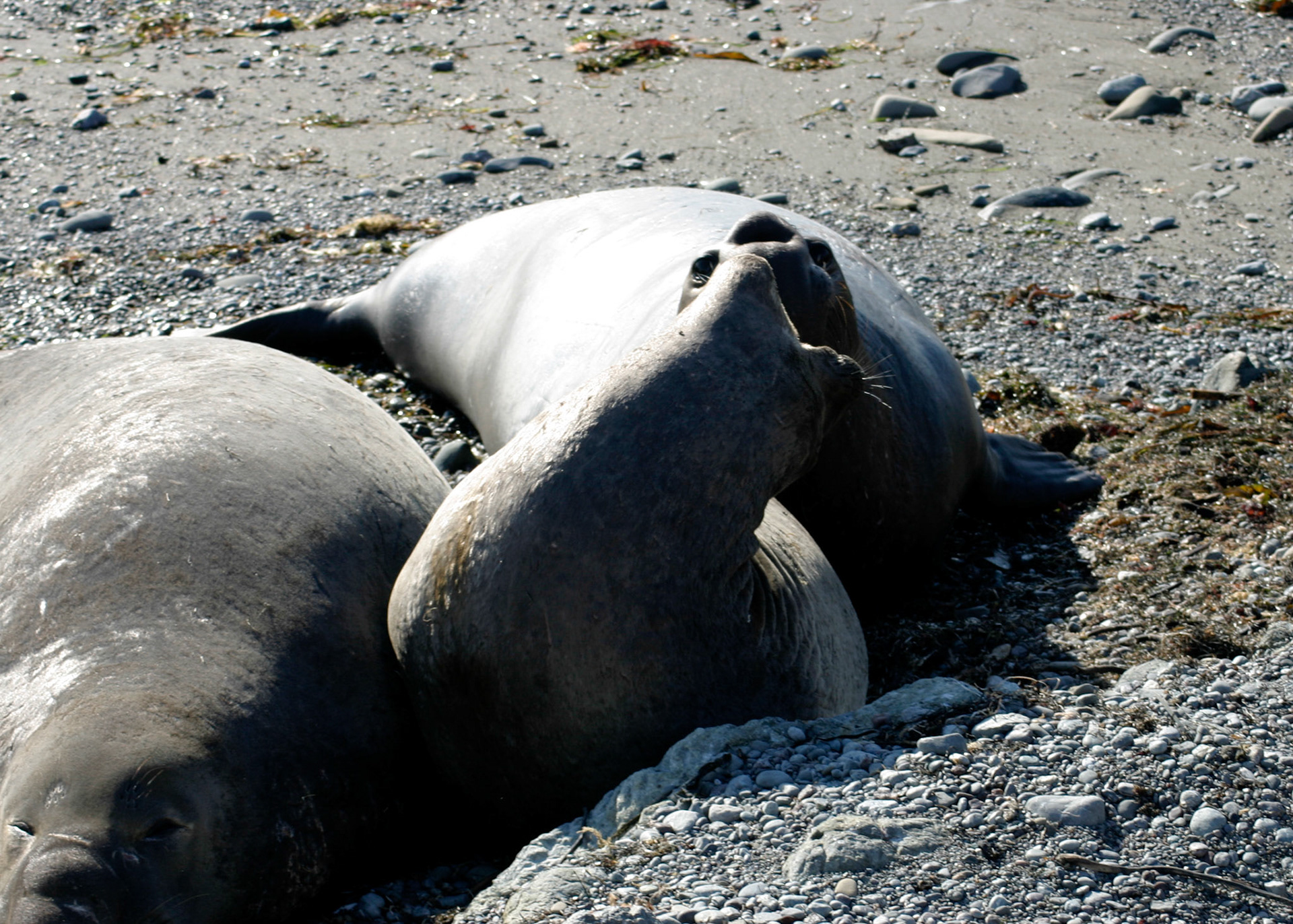 She lets him have it