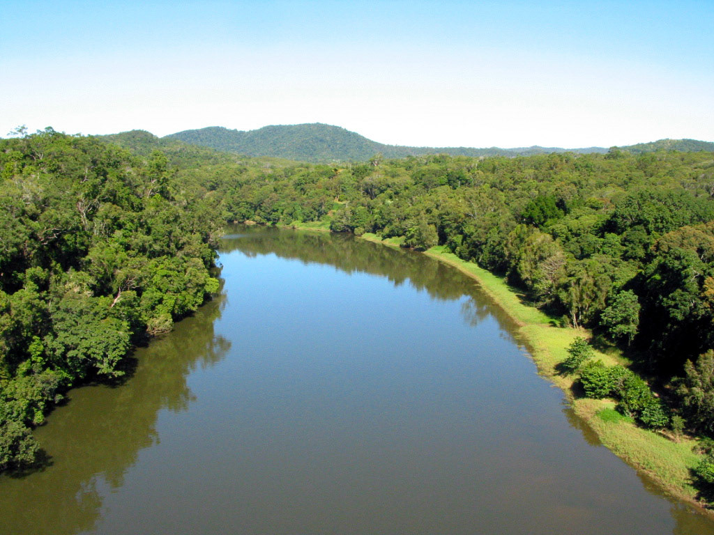 View of the rainforest river from the Skyrail