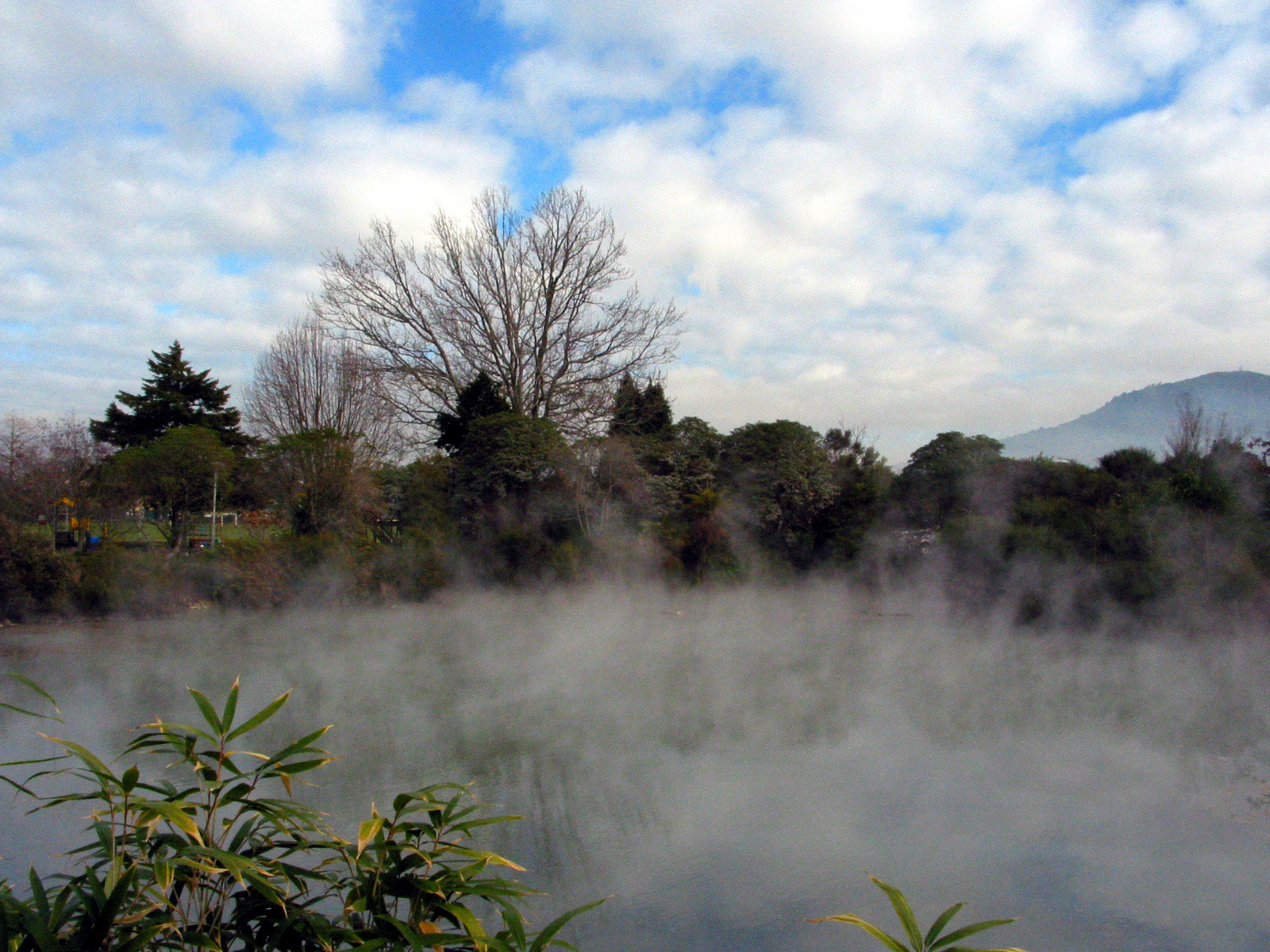 Lots of steam at this hot spot