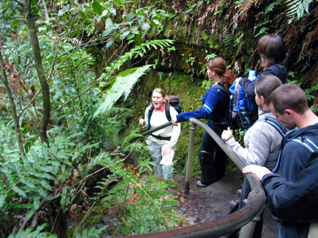 Our tour guide and group