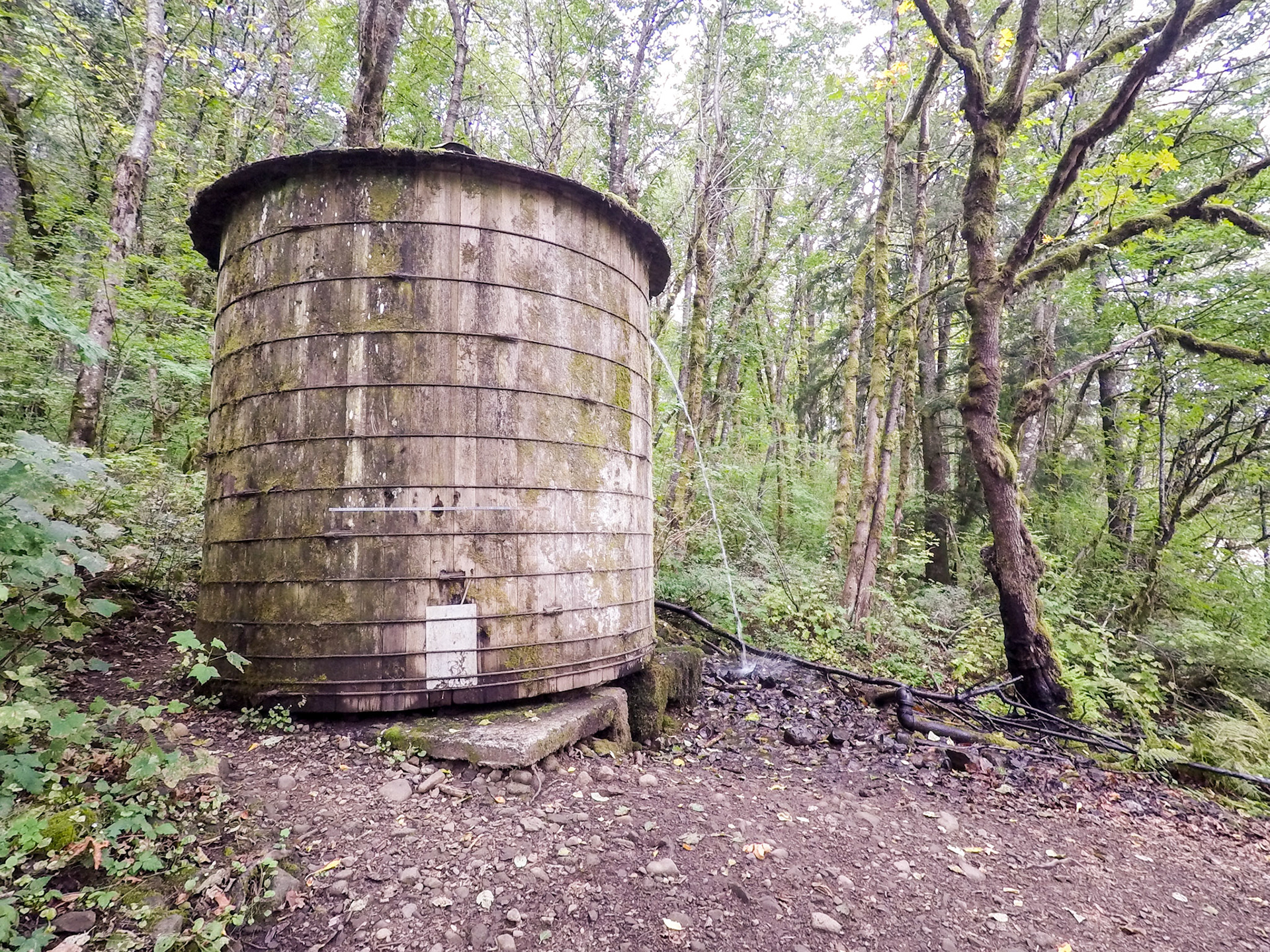 Elowah Falls hiking trail