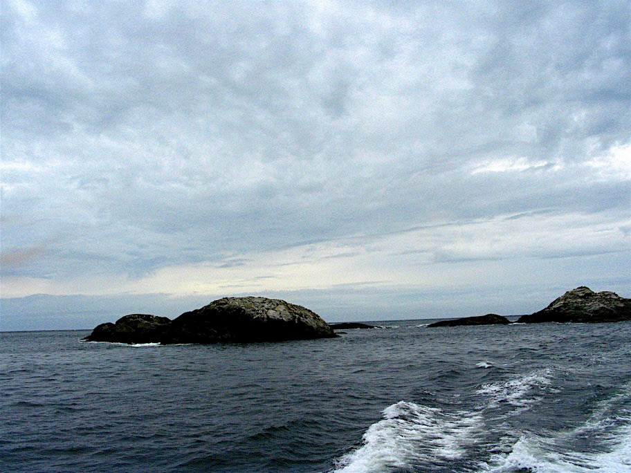 Looking out to the Tasman Sea