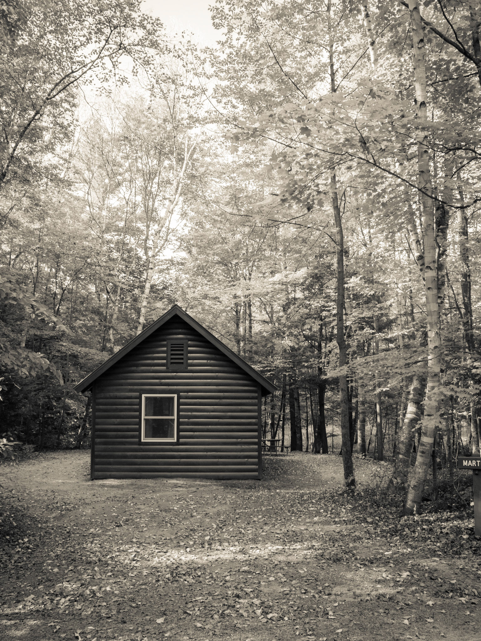 Cabin Marten at Little River State Park, Waterbury, VT
