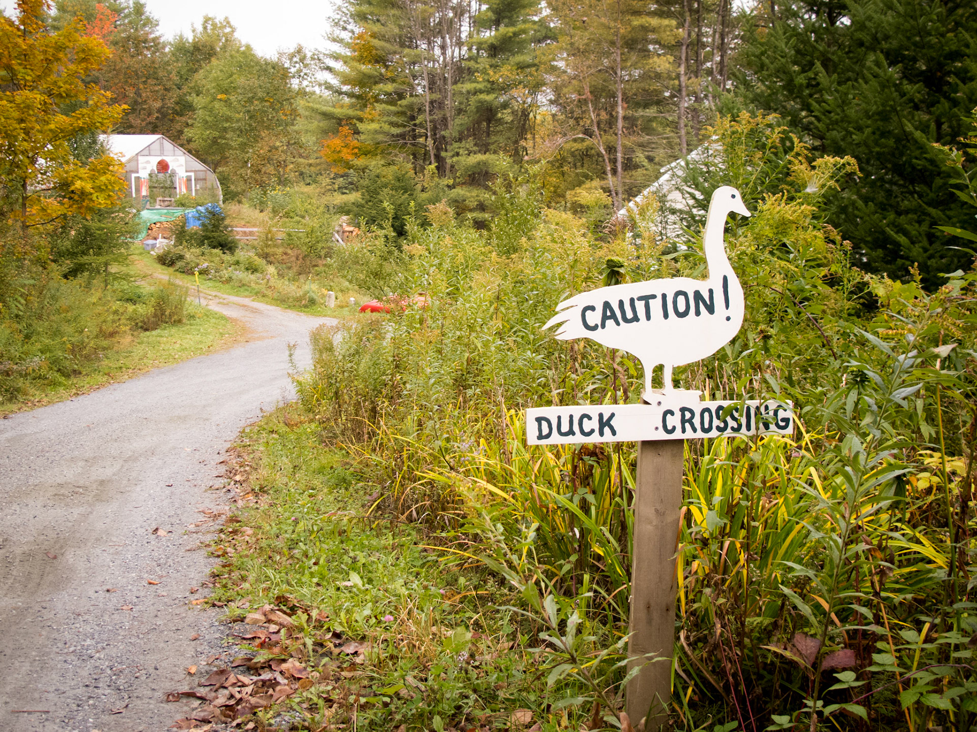 Our Airbnb farm stay in Hartford, VT