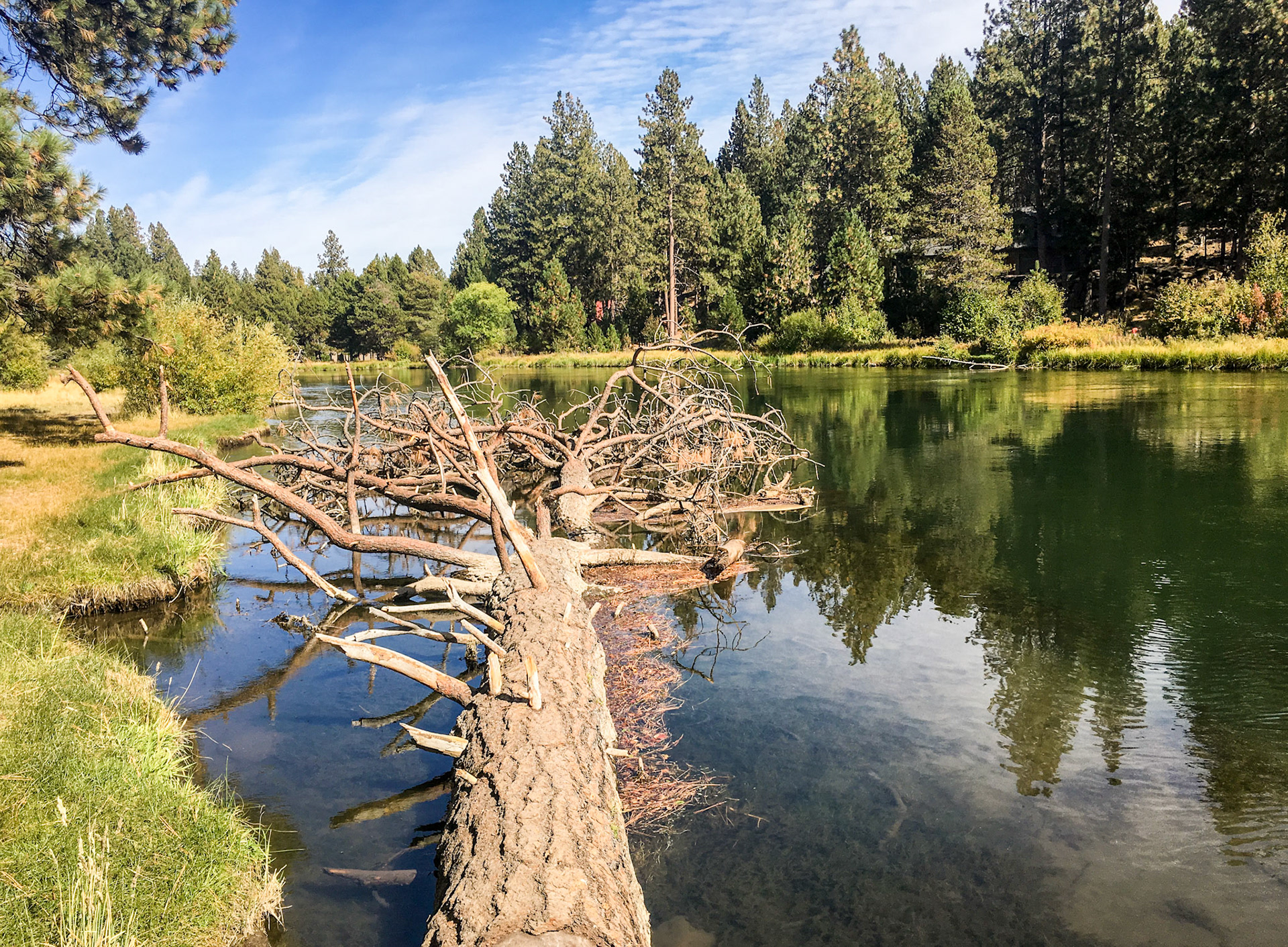 On the mountain bike trail to Bend