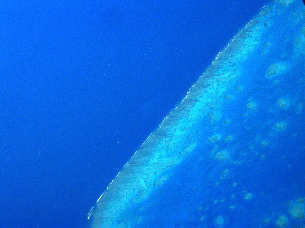 Small part of the Great Barrier Reef