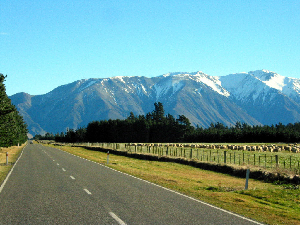 Typical New Zealand scenery!