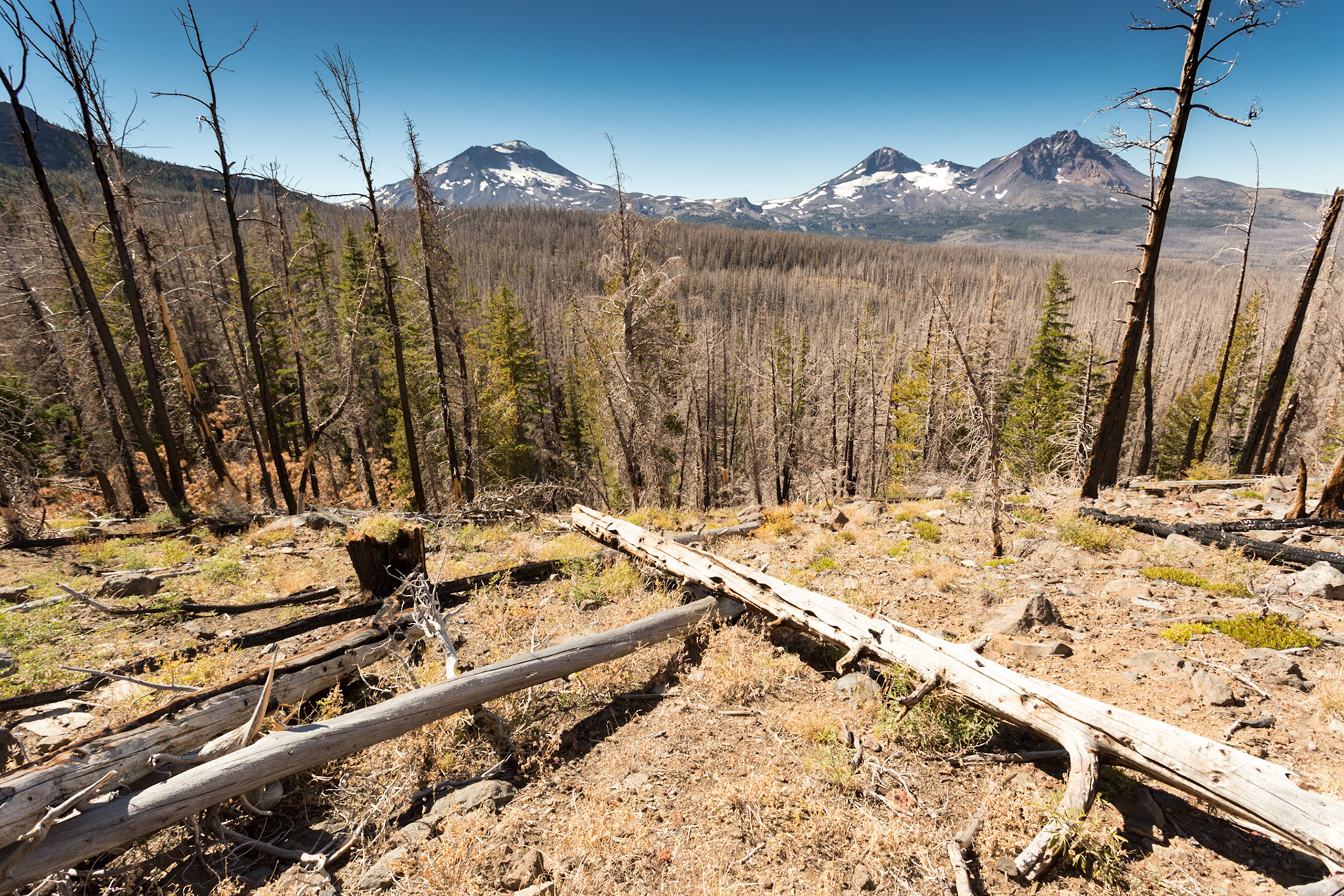 View of the Three Sisters