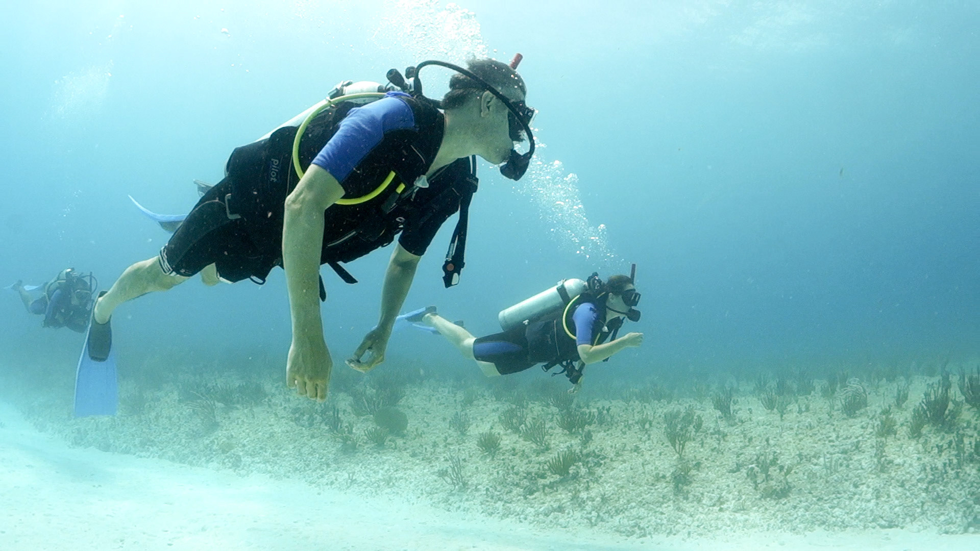 (Photo taken by SCUBA photographer)