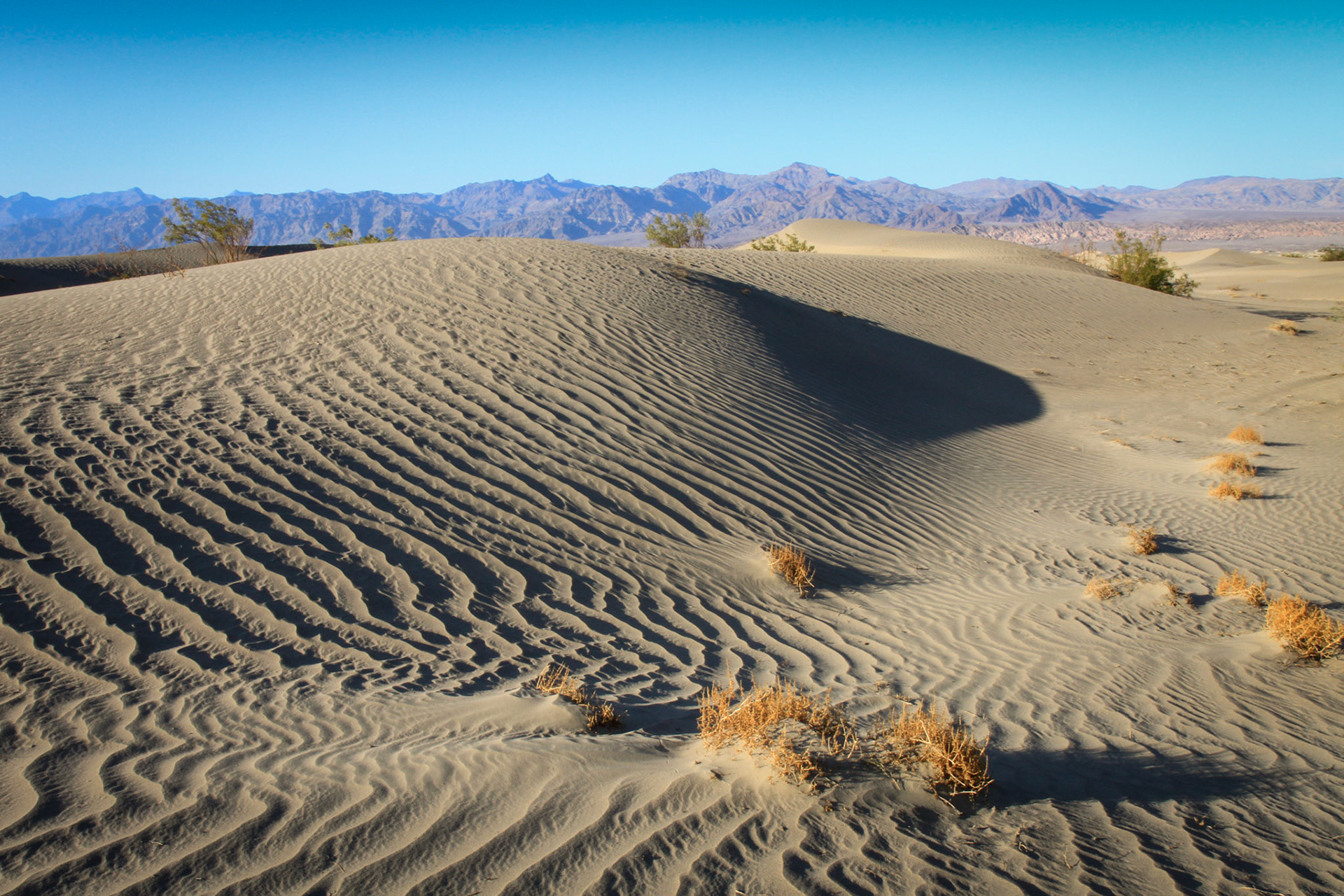 Mesquite Sand Dunes
