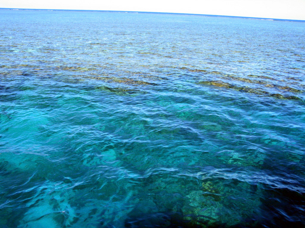 Greet Barrier Reef (Saxon Reef)