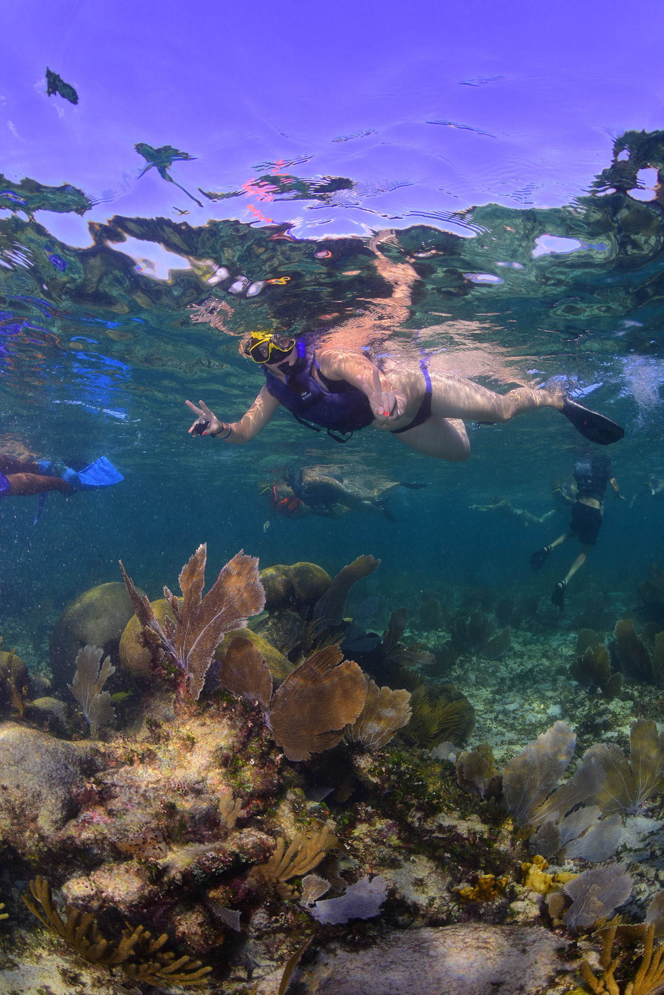 (Photo taken by Alltournative photographer)