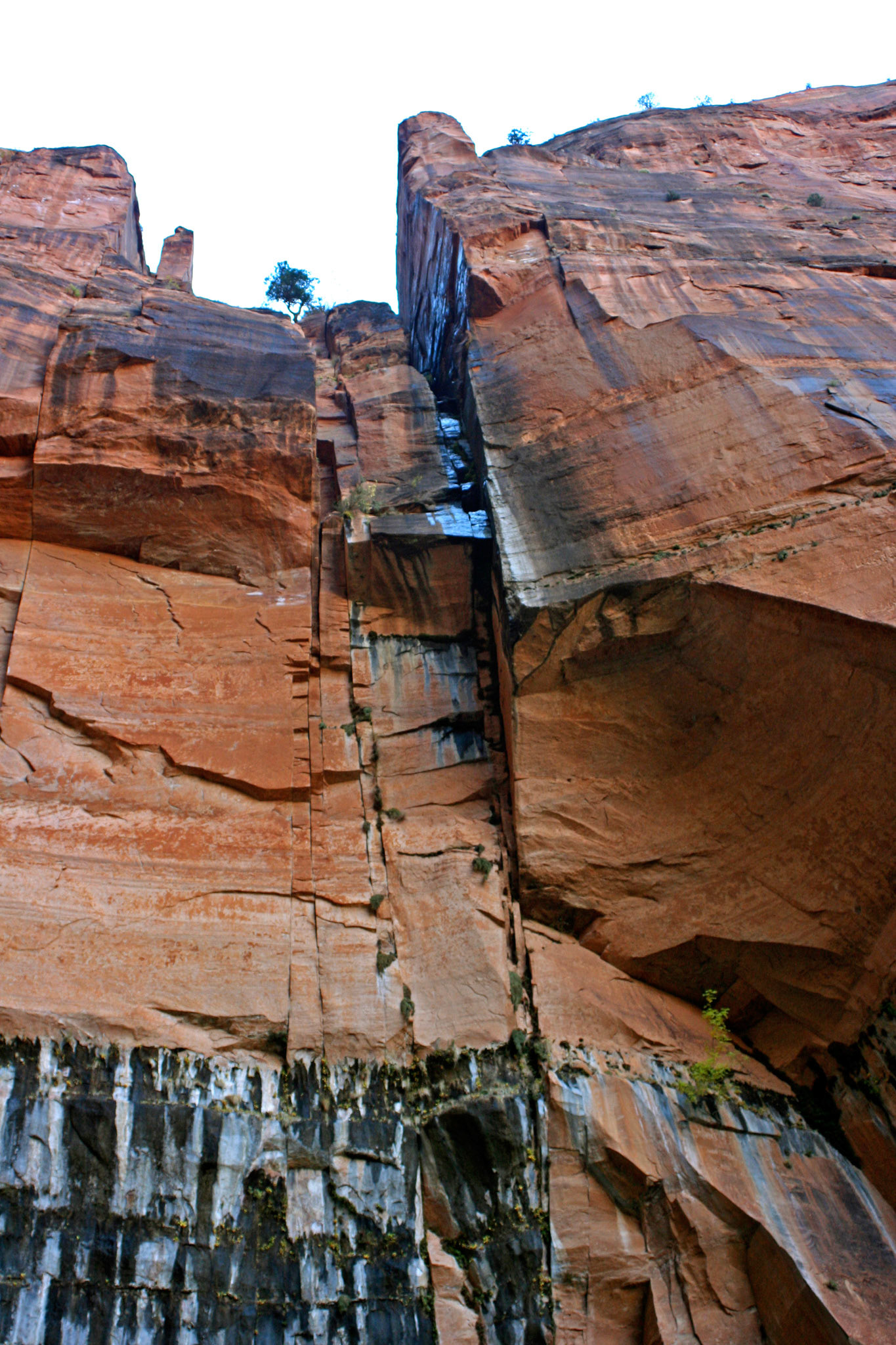 The Weeping Rock