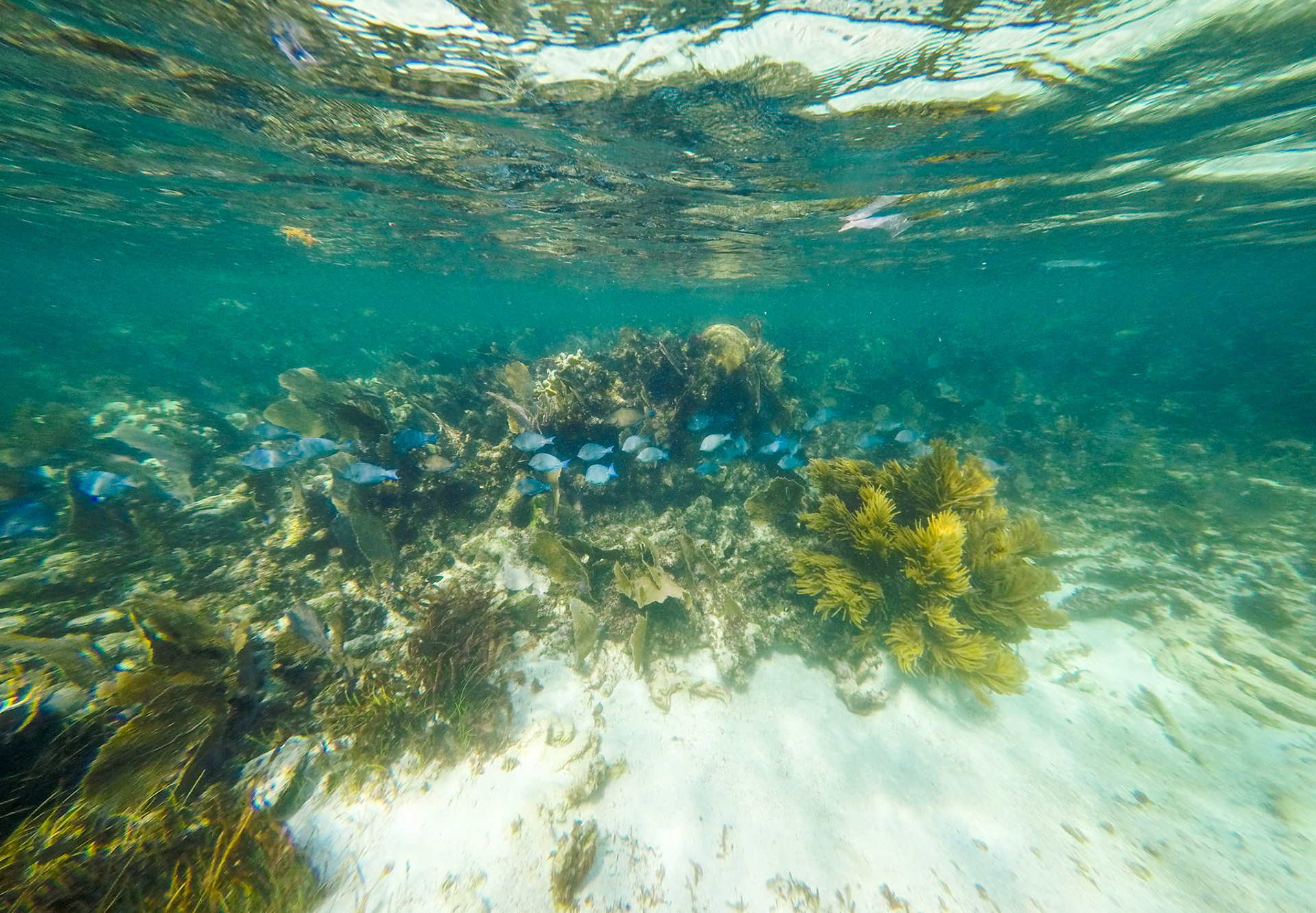Puerto Morelos, Mexico
