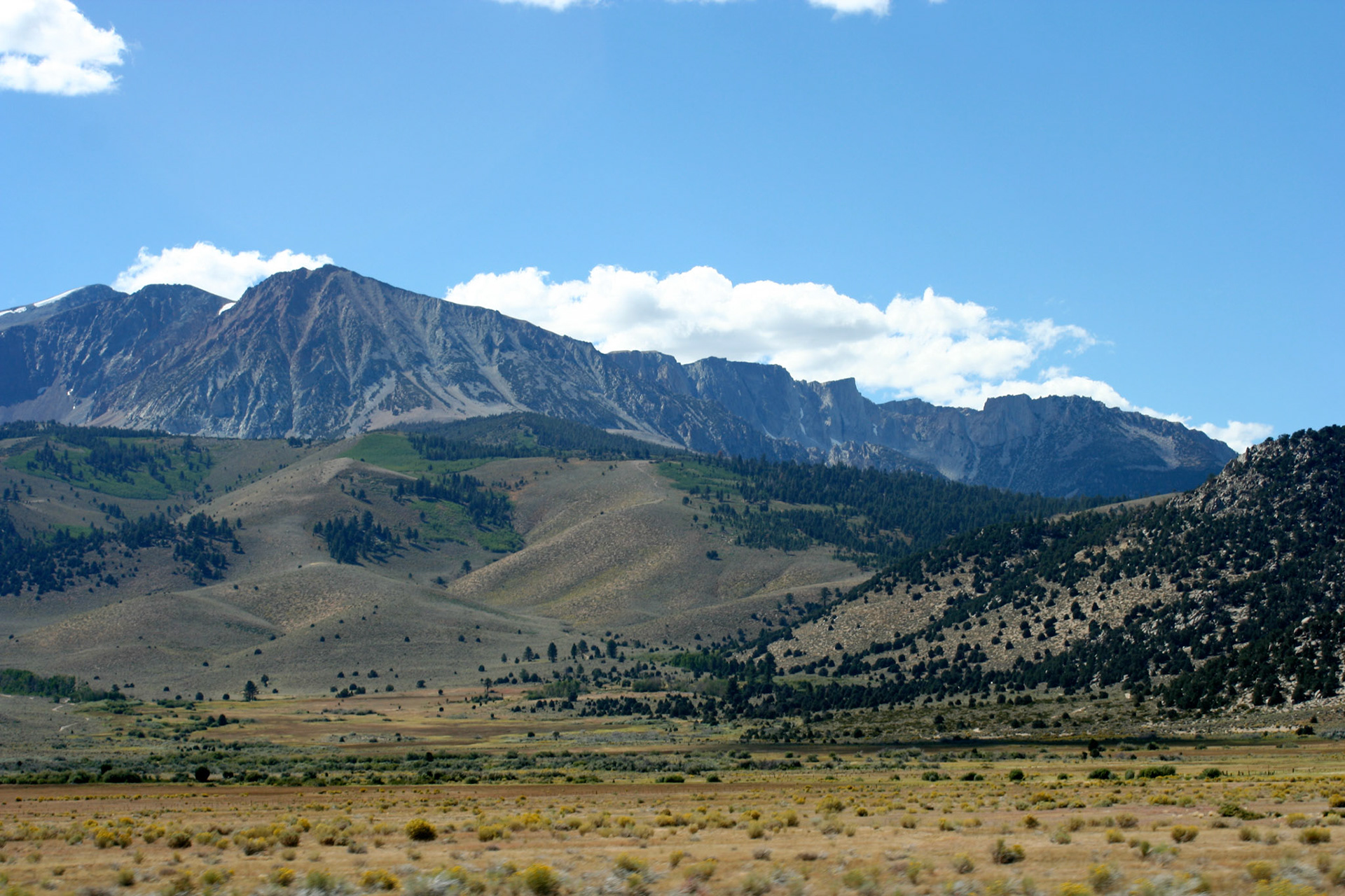 Driving back to Mammoth from Bodie