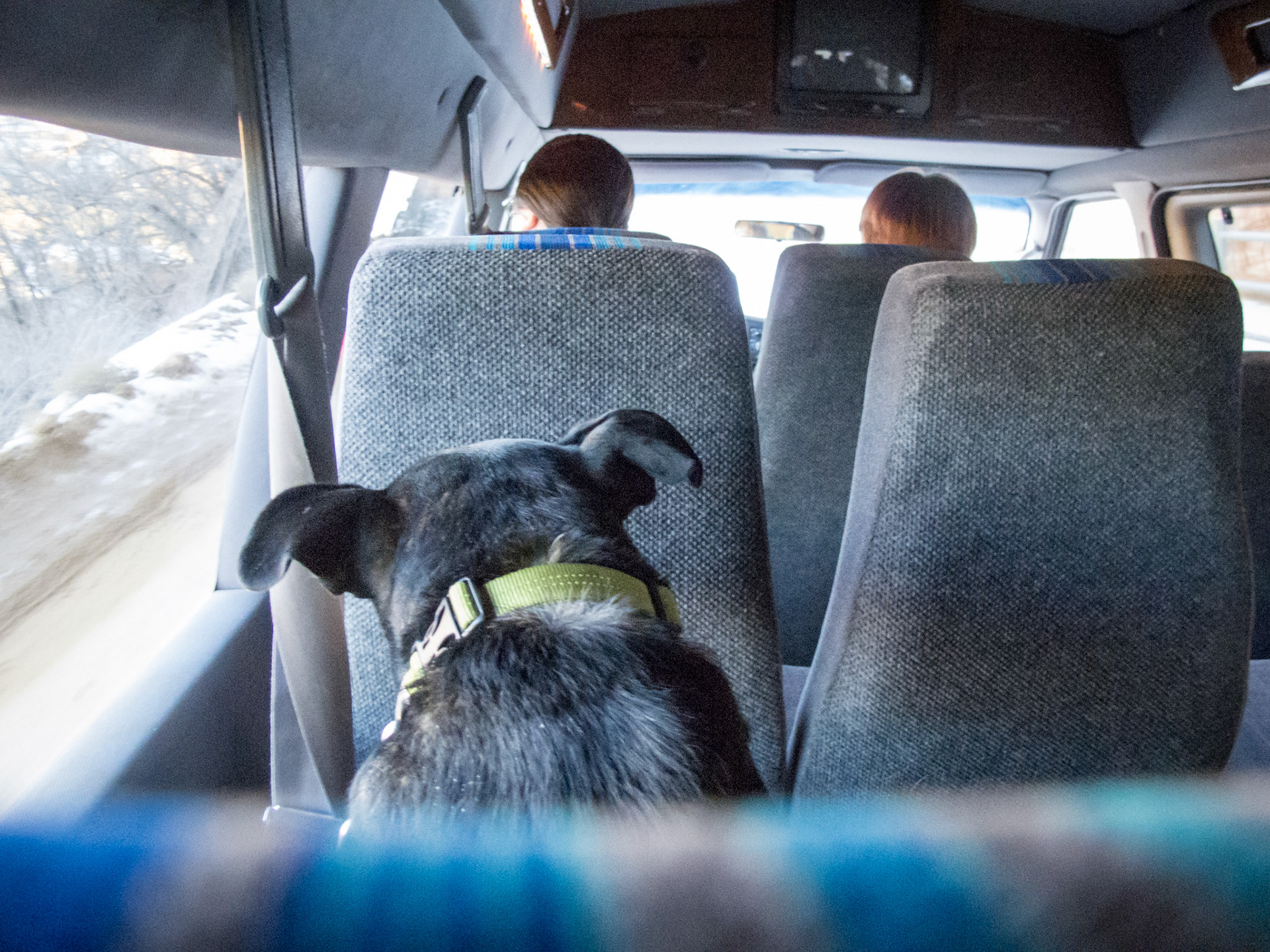 Annie on the tour bus at Best Friends Animal Sanctuary