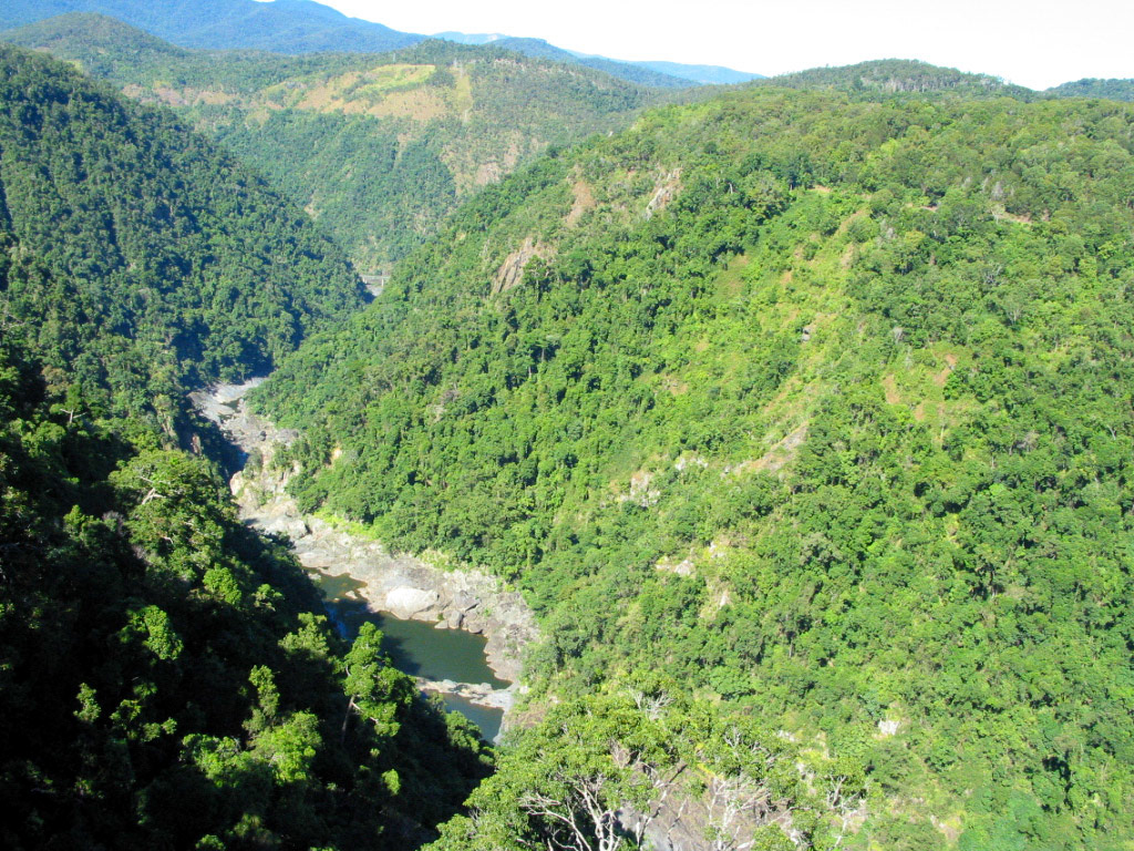 Gorge through the rainforest from the Skyrail