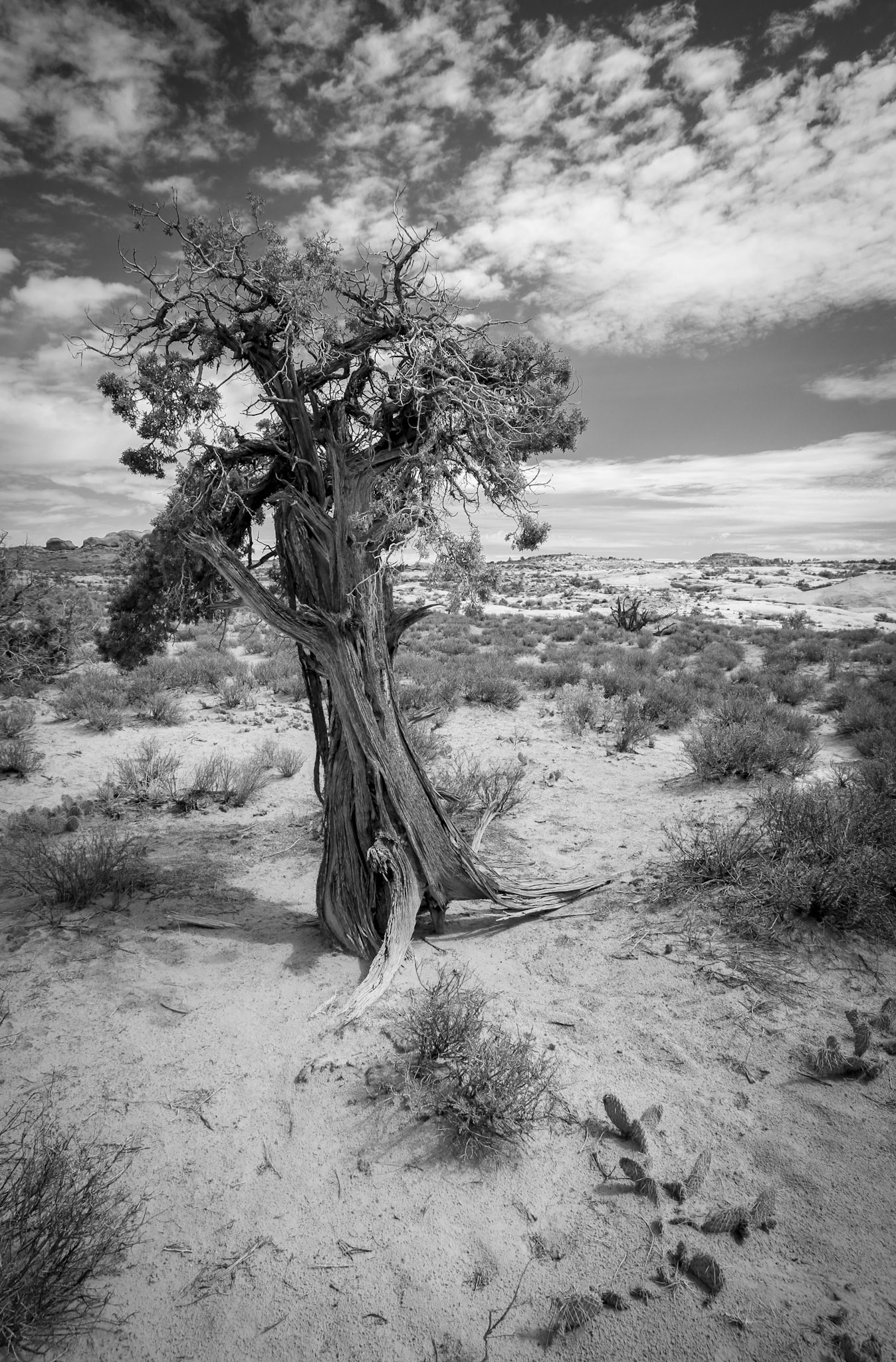 Arches National Park