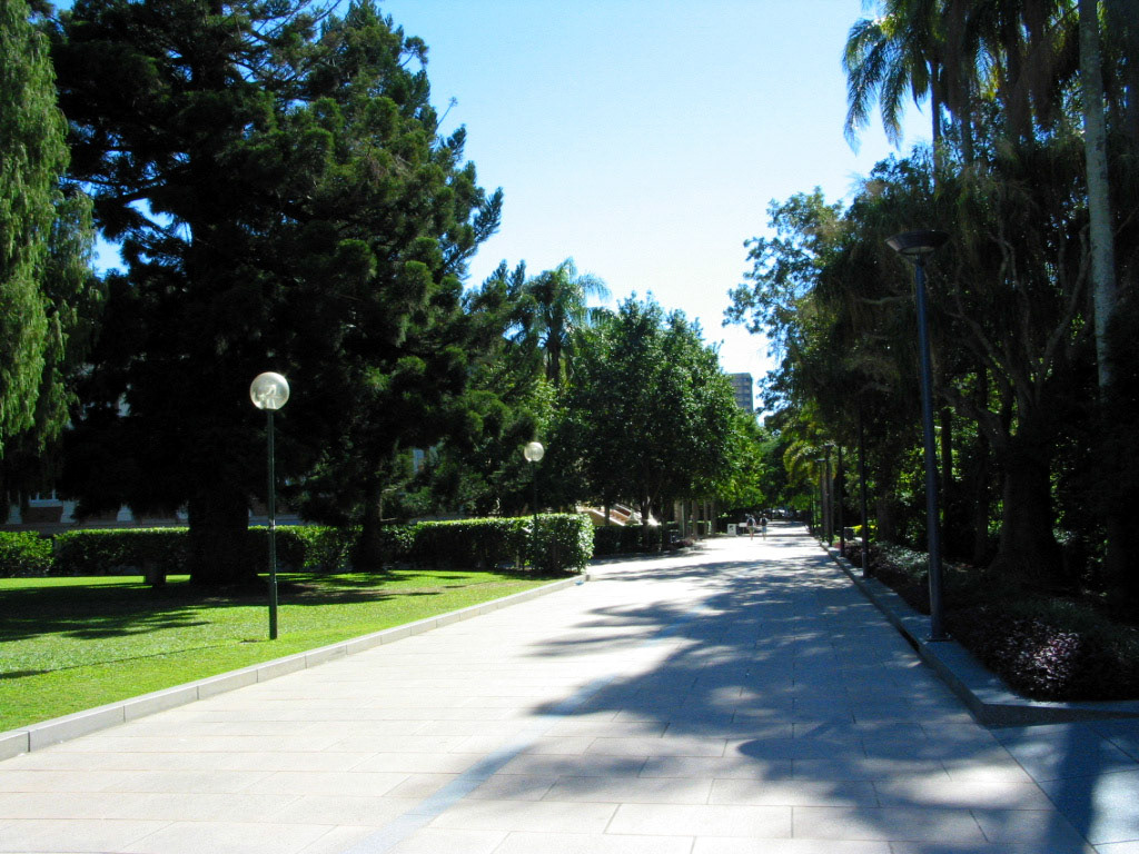 On the QUT campus by the entrance to the city's Botanical Gardens