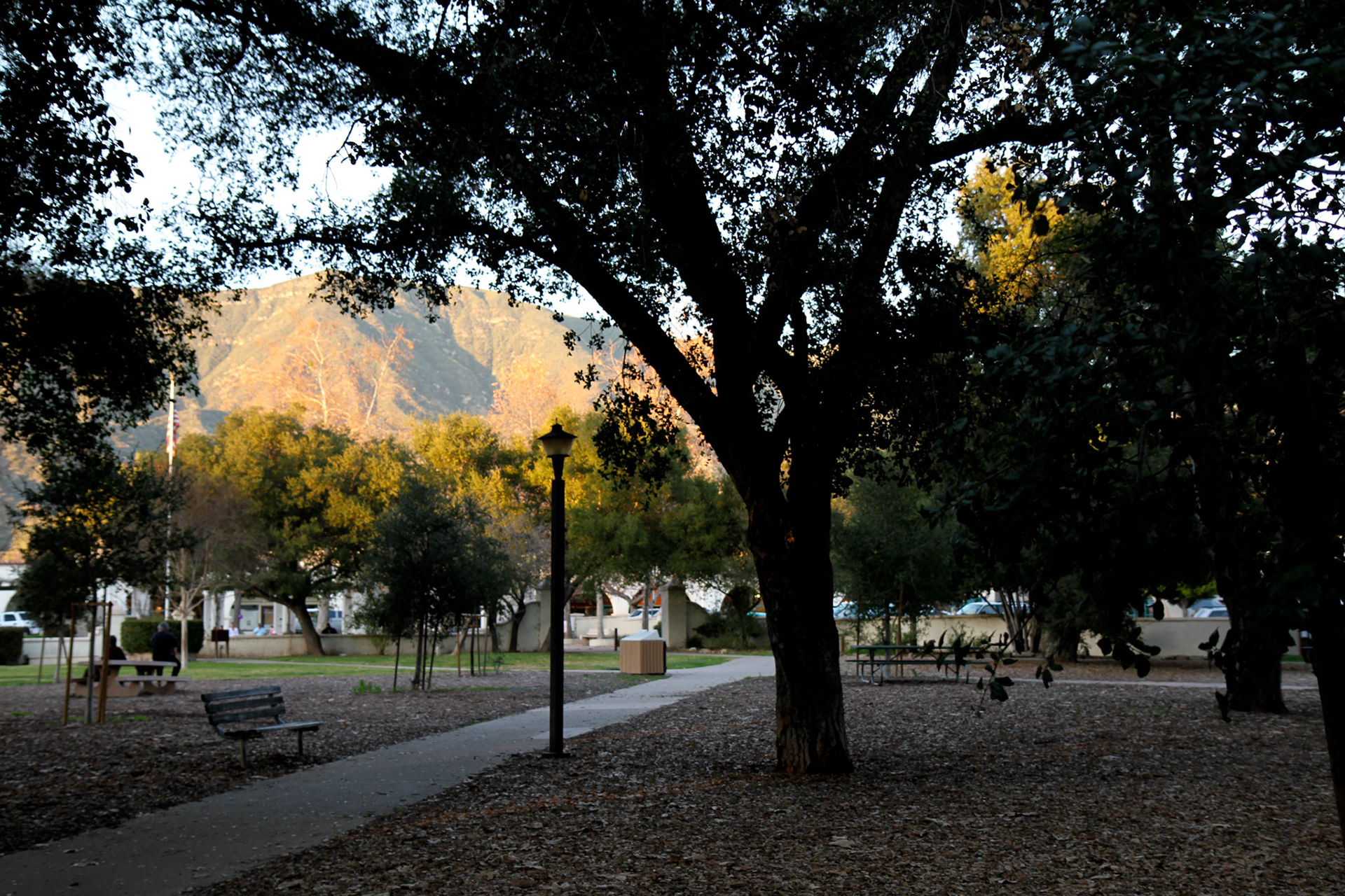 Libby Park