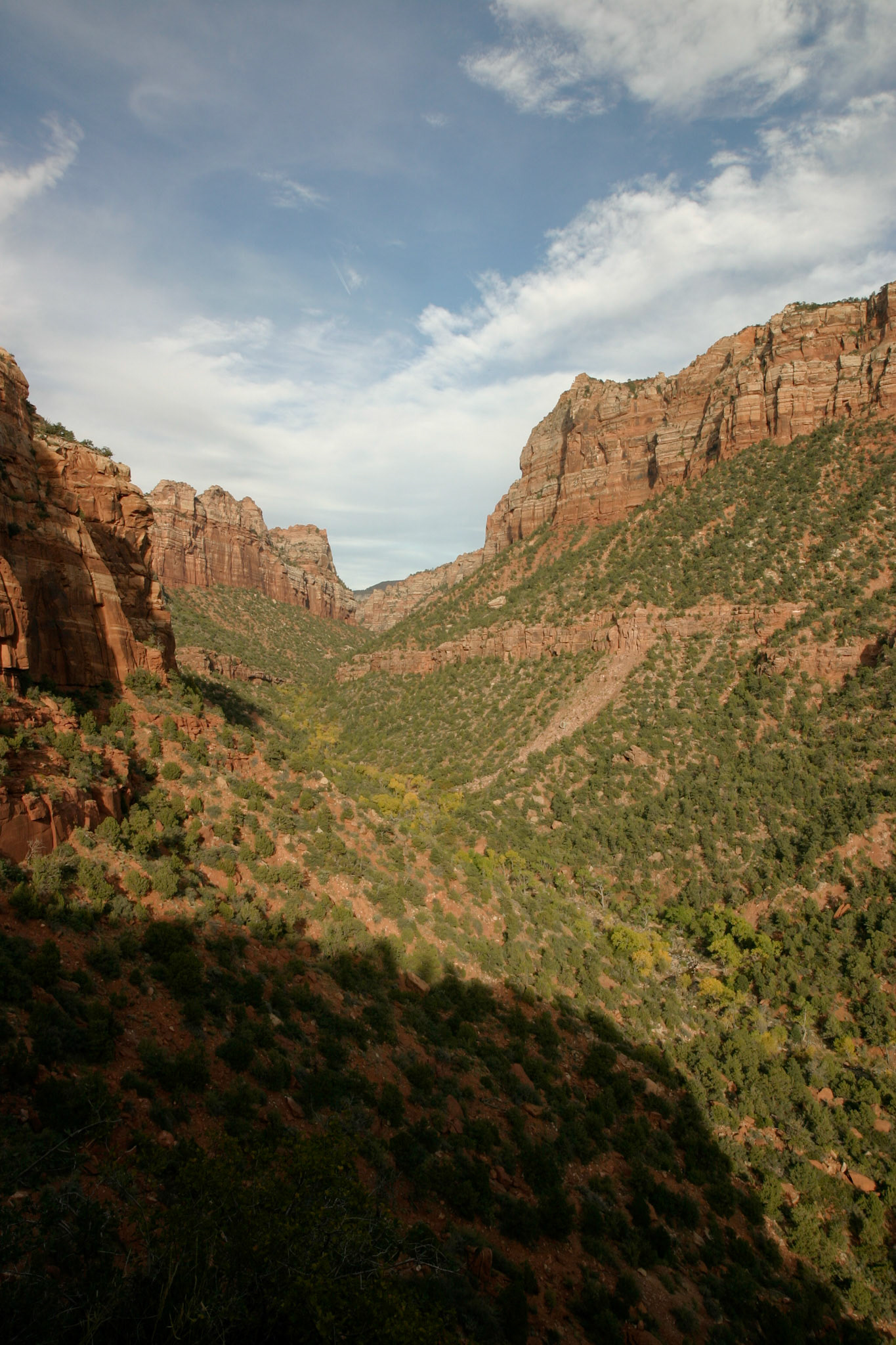 A view up the canyon