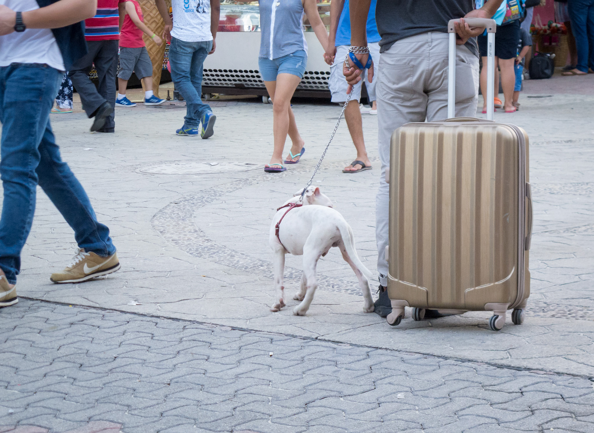 5th Avenue, Downtown