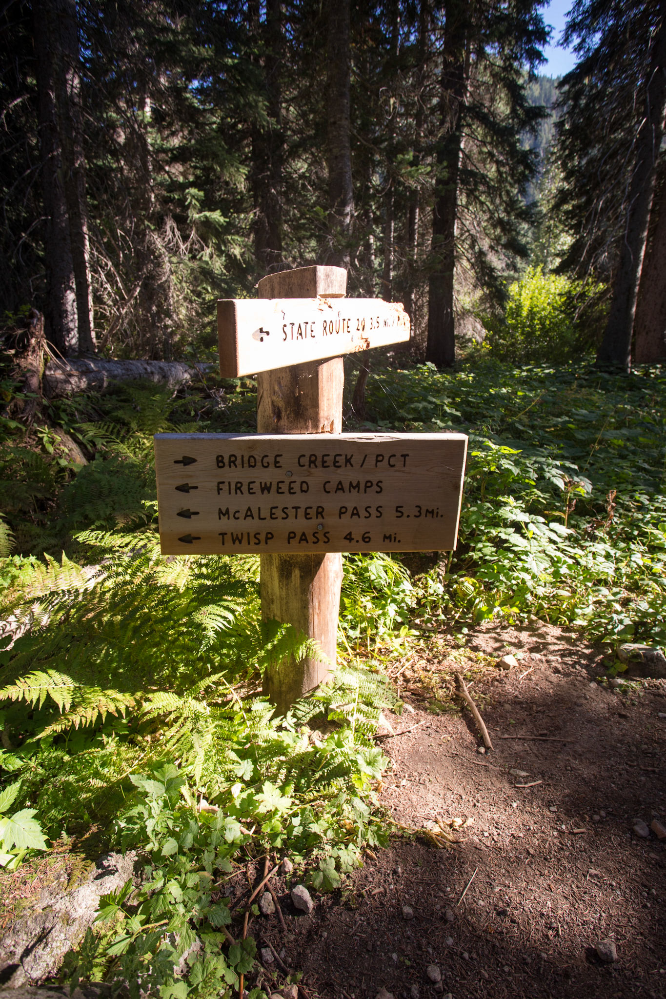 North Cascades National Park