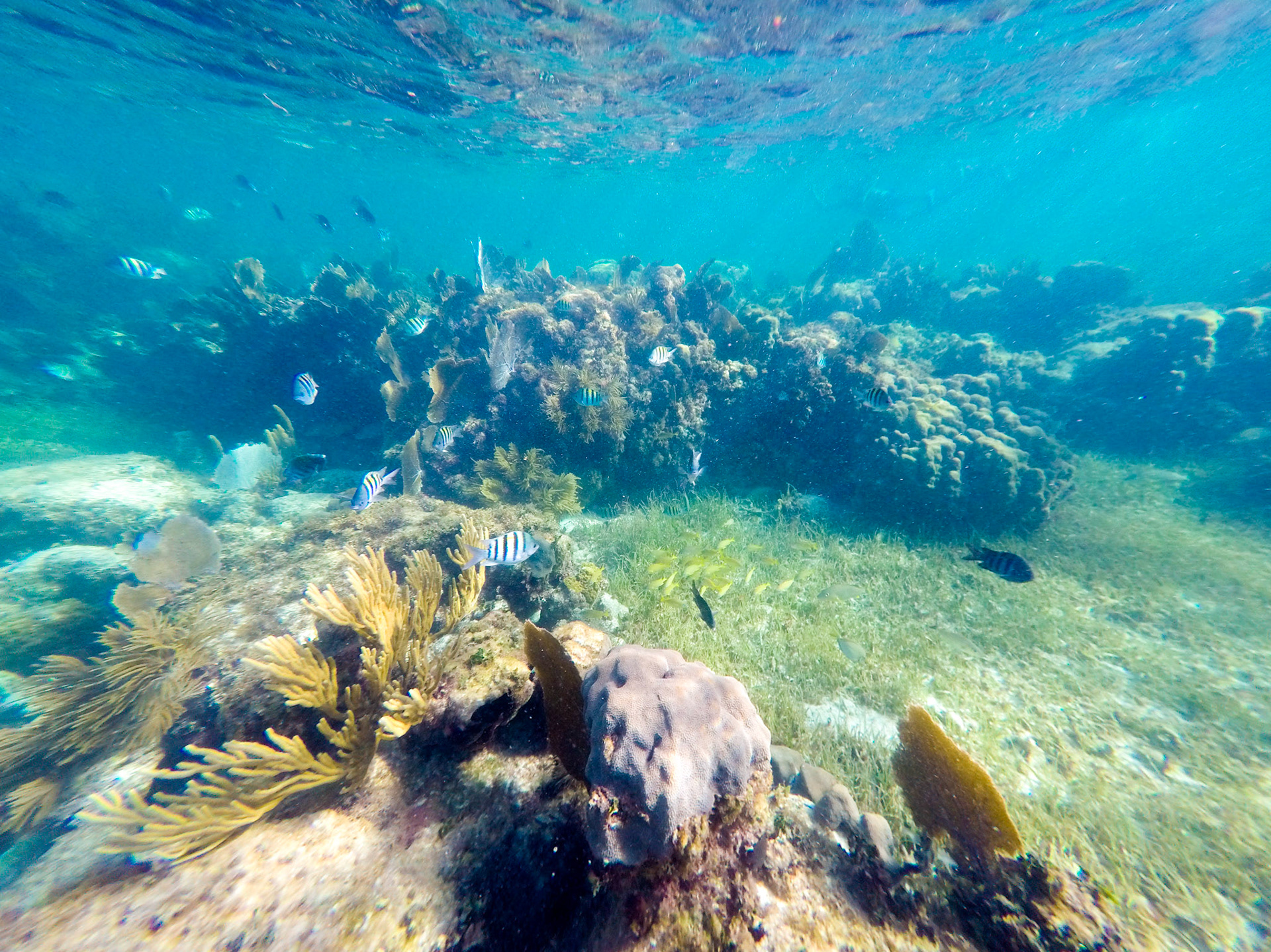 Puerto Morelos, Mexico