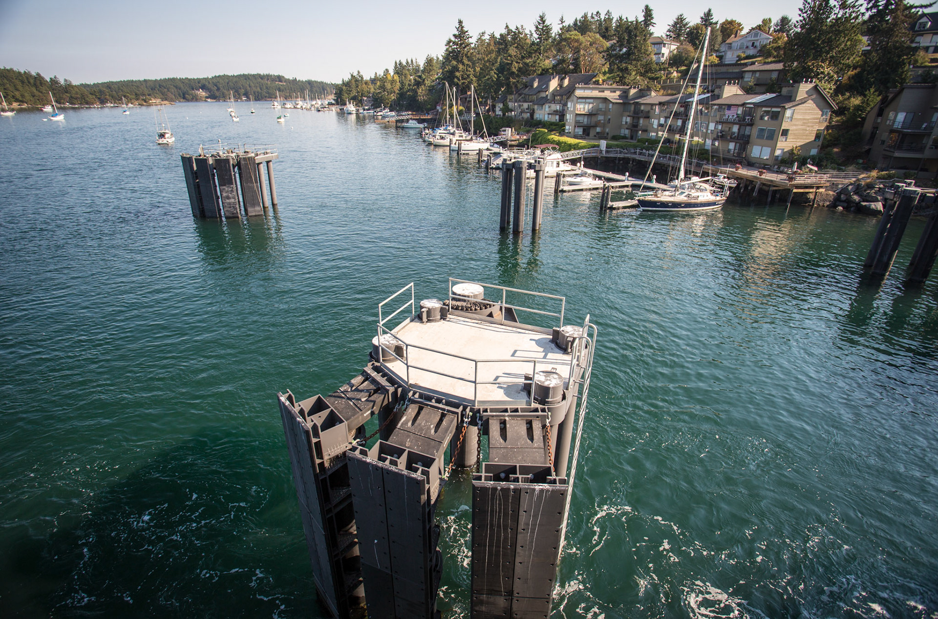 Friday Harbor