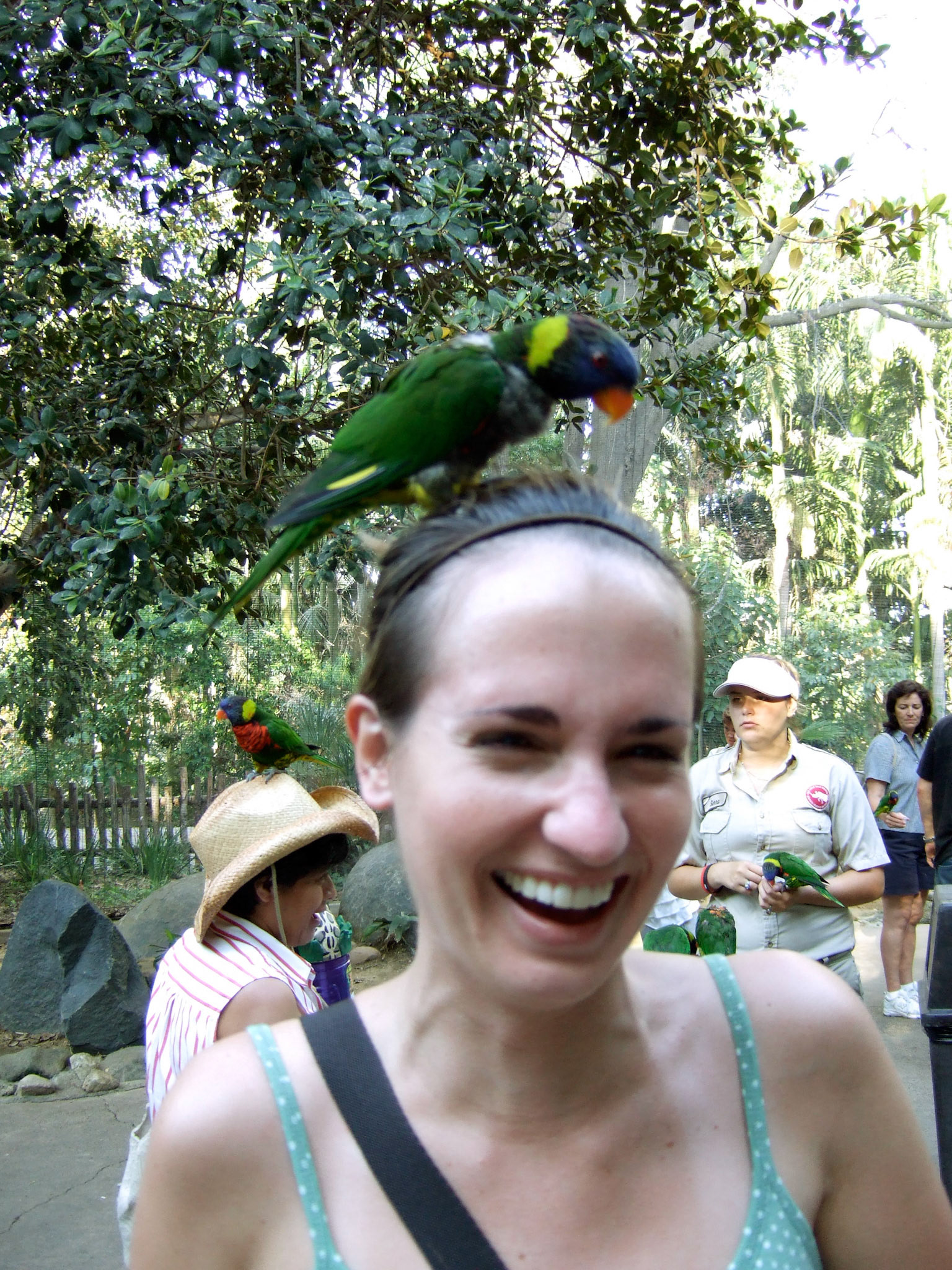 And then perches on my head