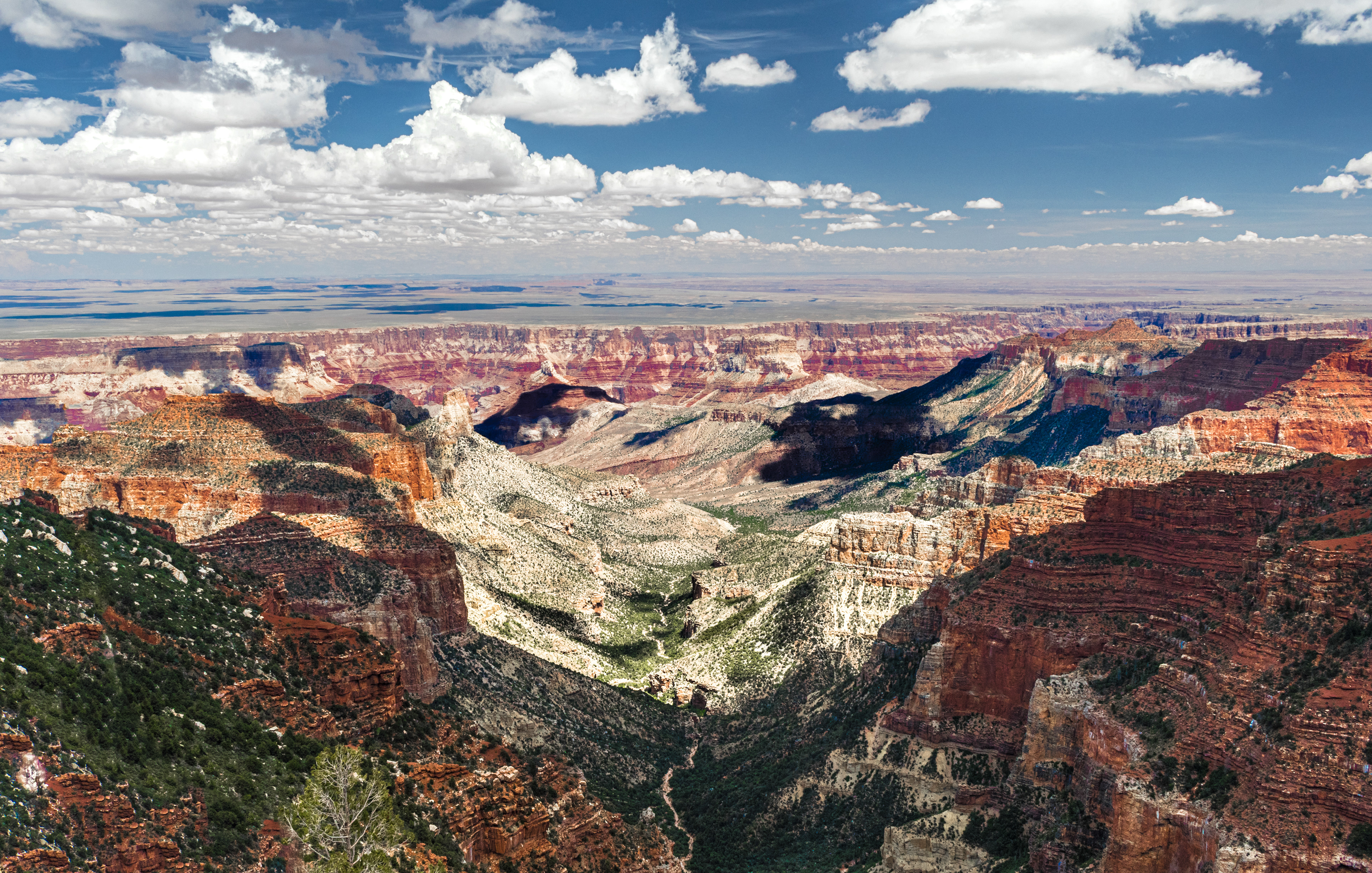 Grand Canyon | Arizona