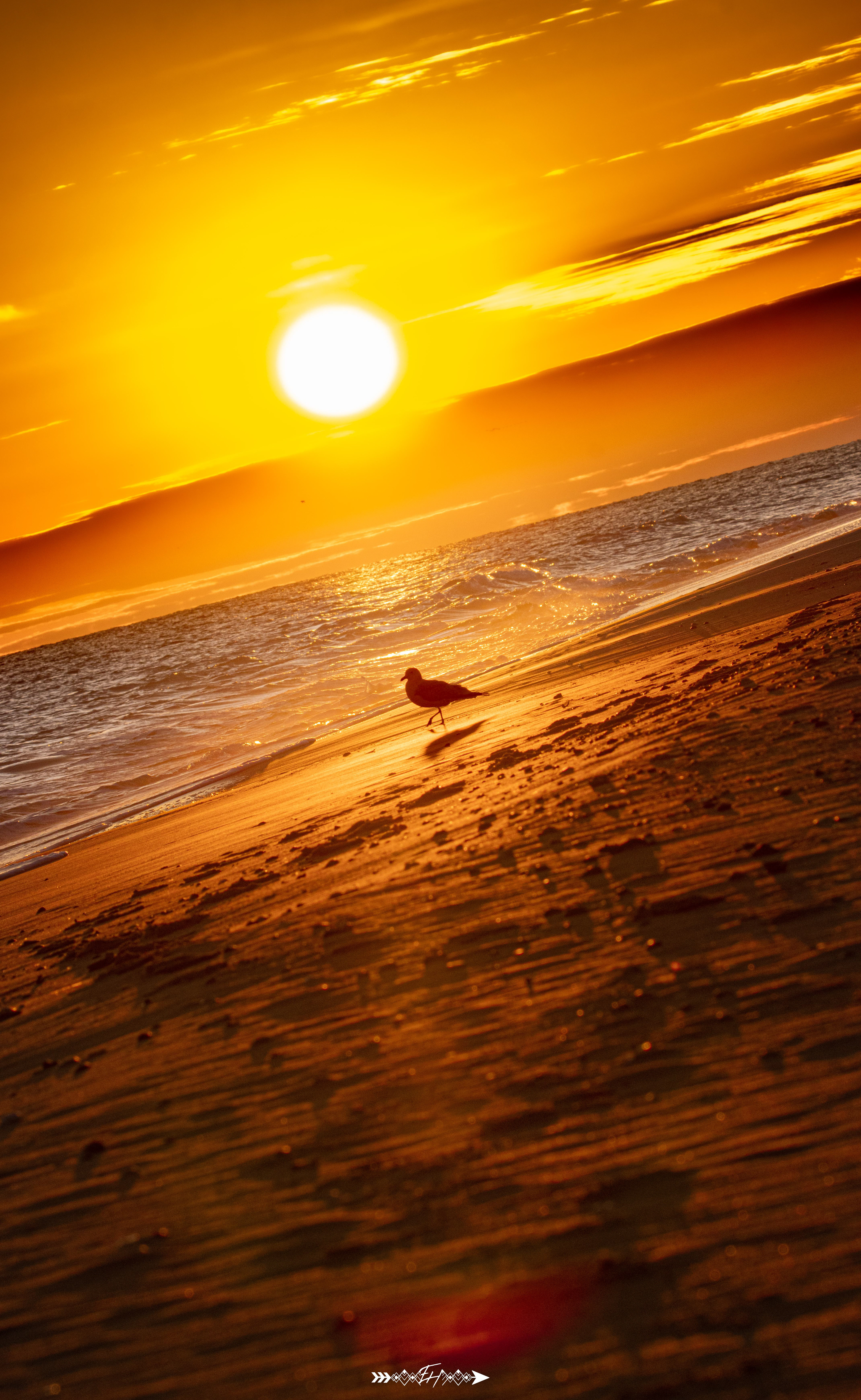 Pine Knoll Shores, NC