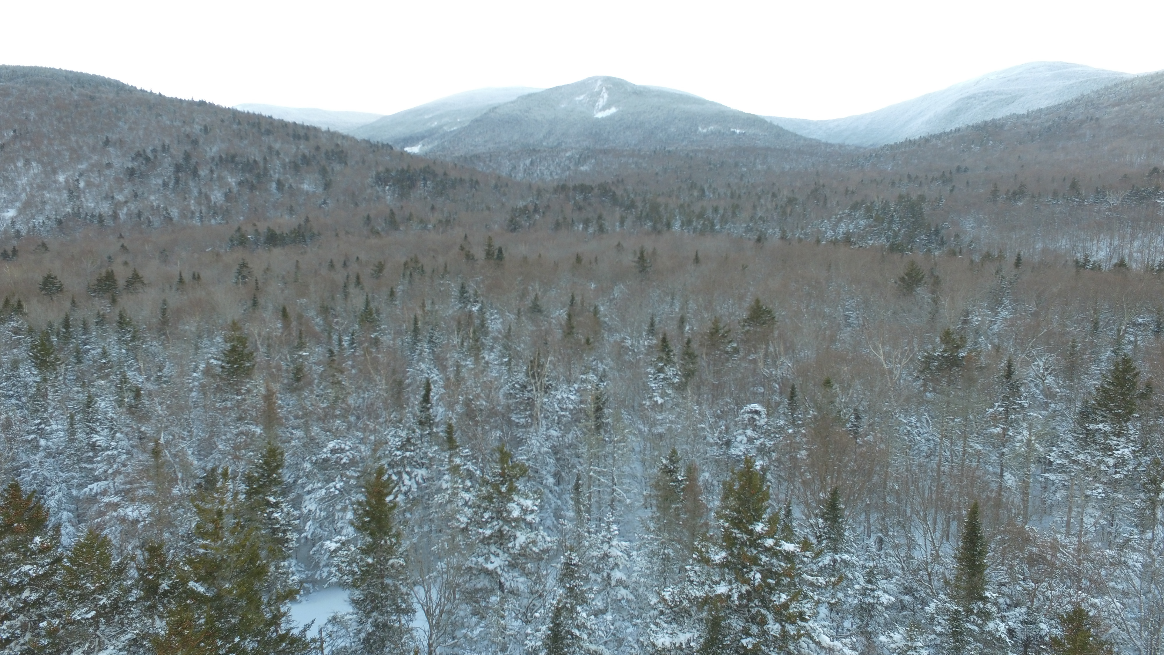 Crawford Notch | New Hampshire